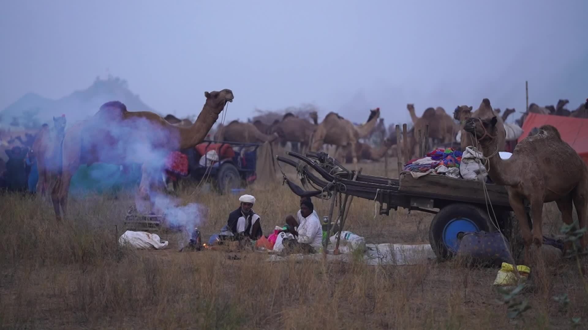 World's Largest Camel Fairs In India