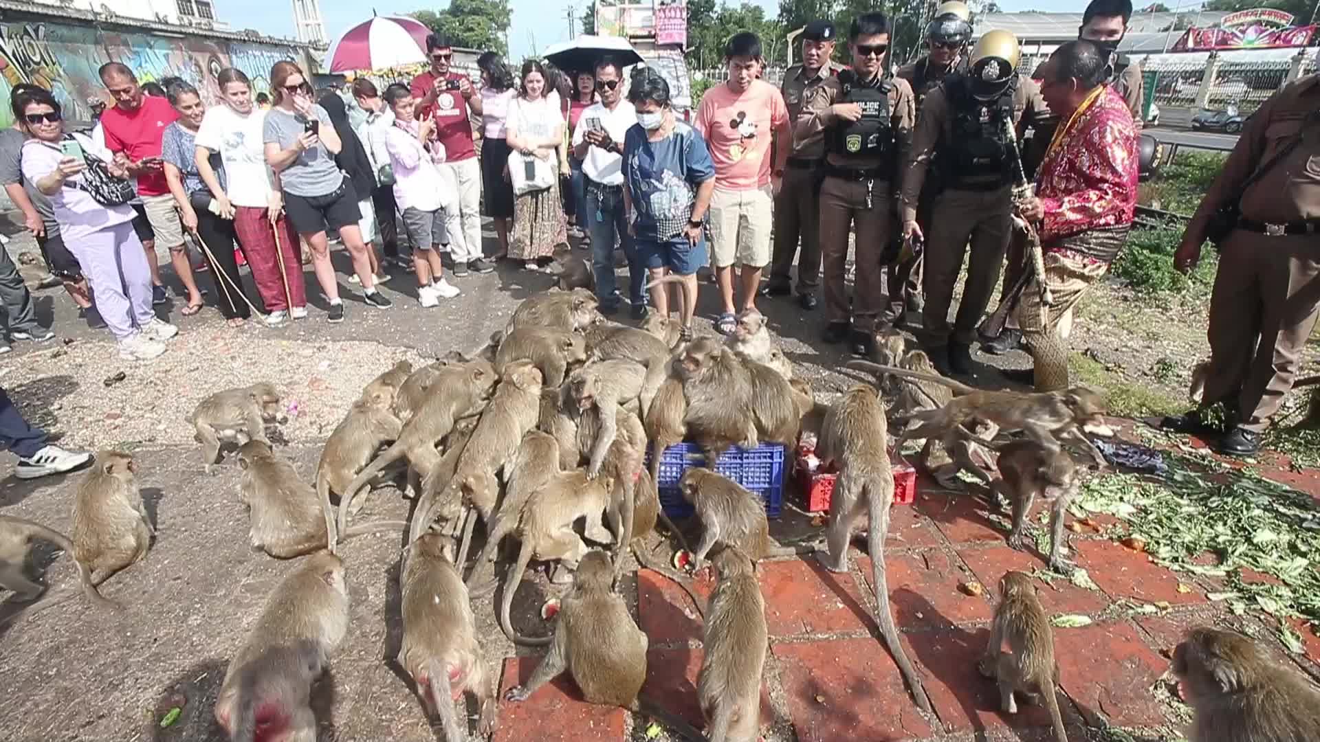Monkey Buffet In Thailand