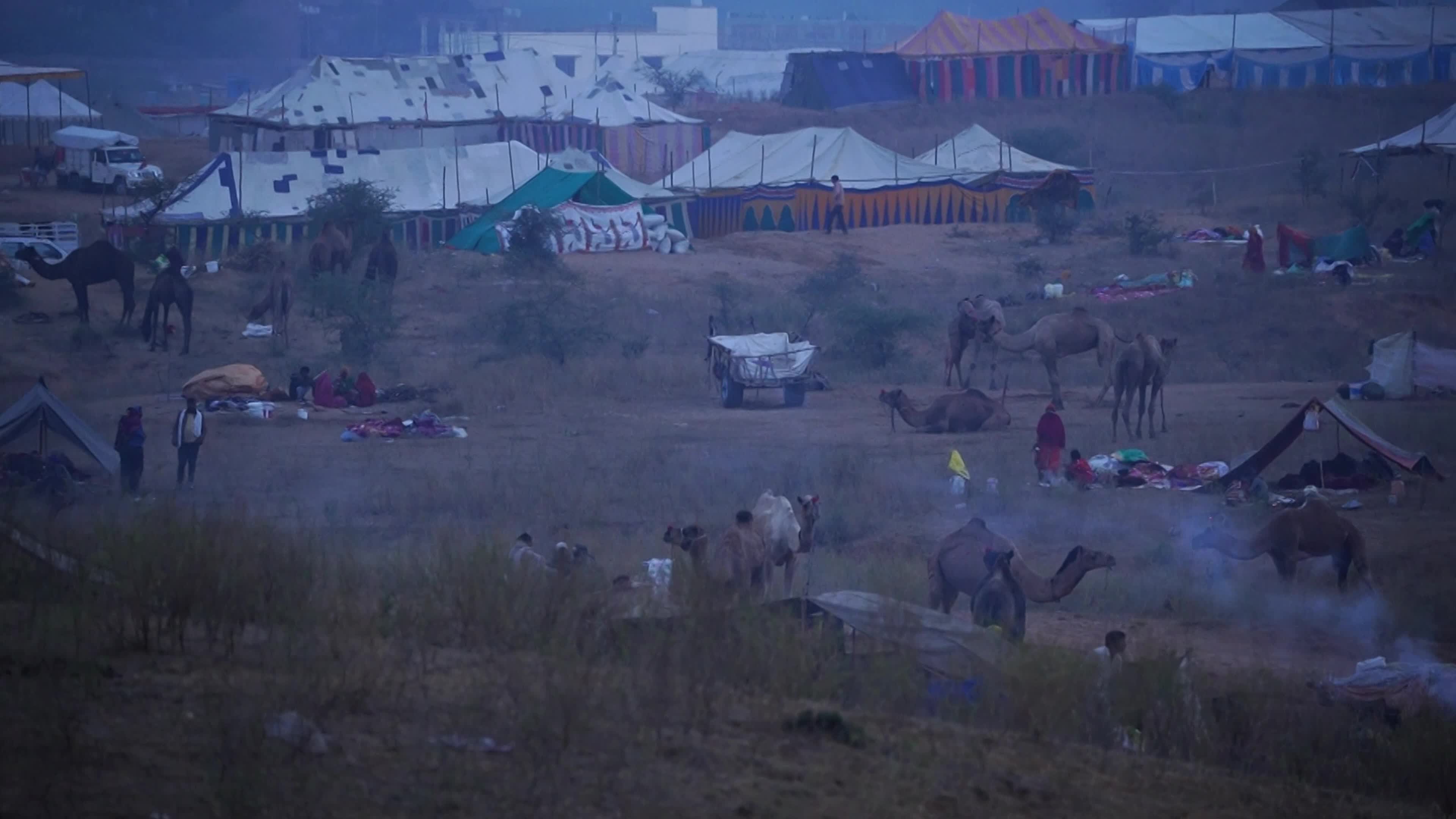 World's Largest Camel Fairs In India