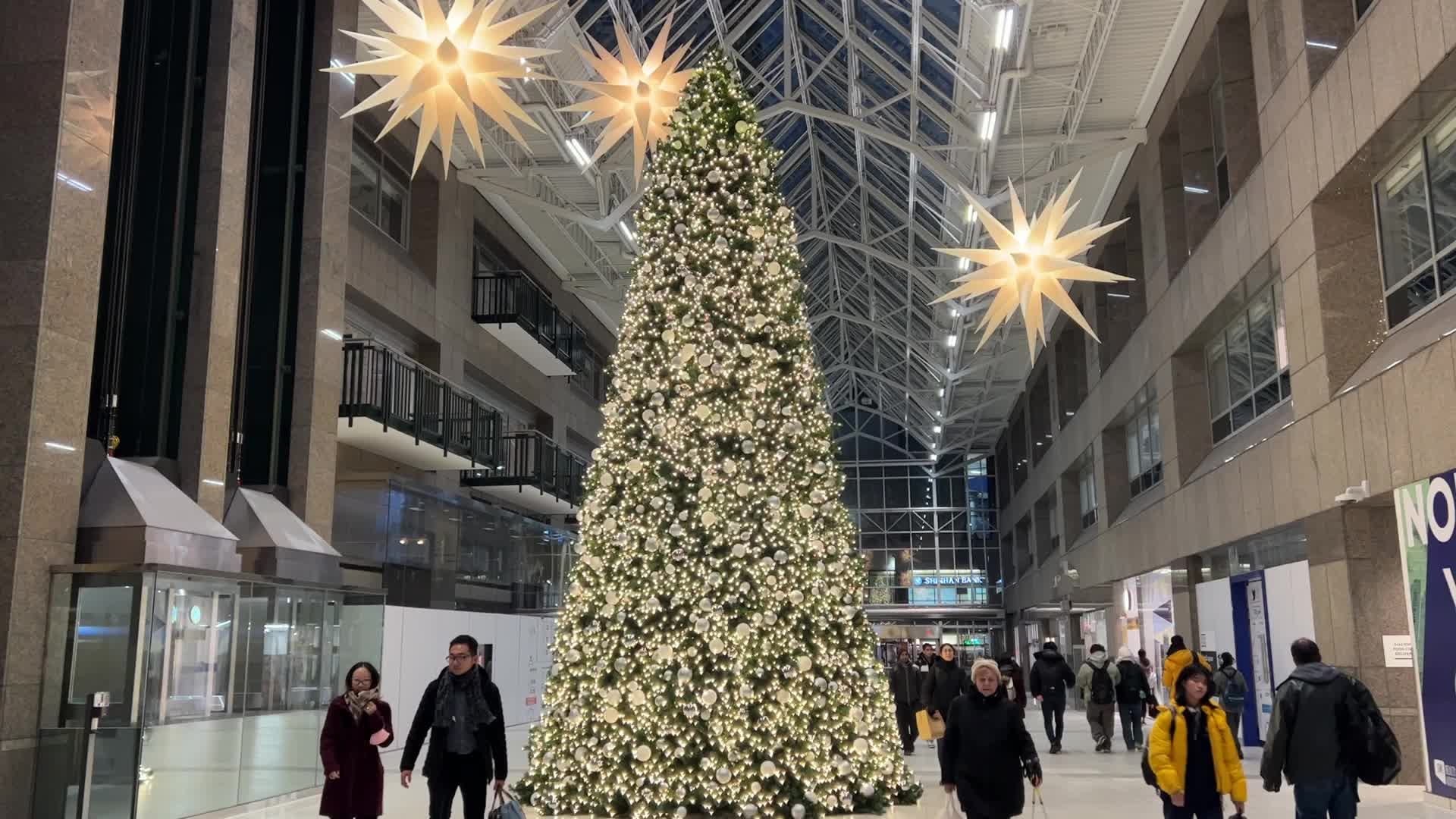 Christmas Season In Toronto, Canada