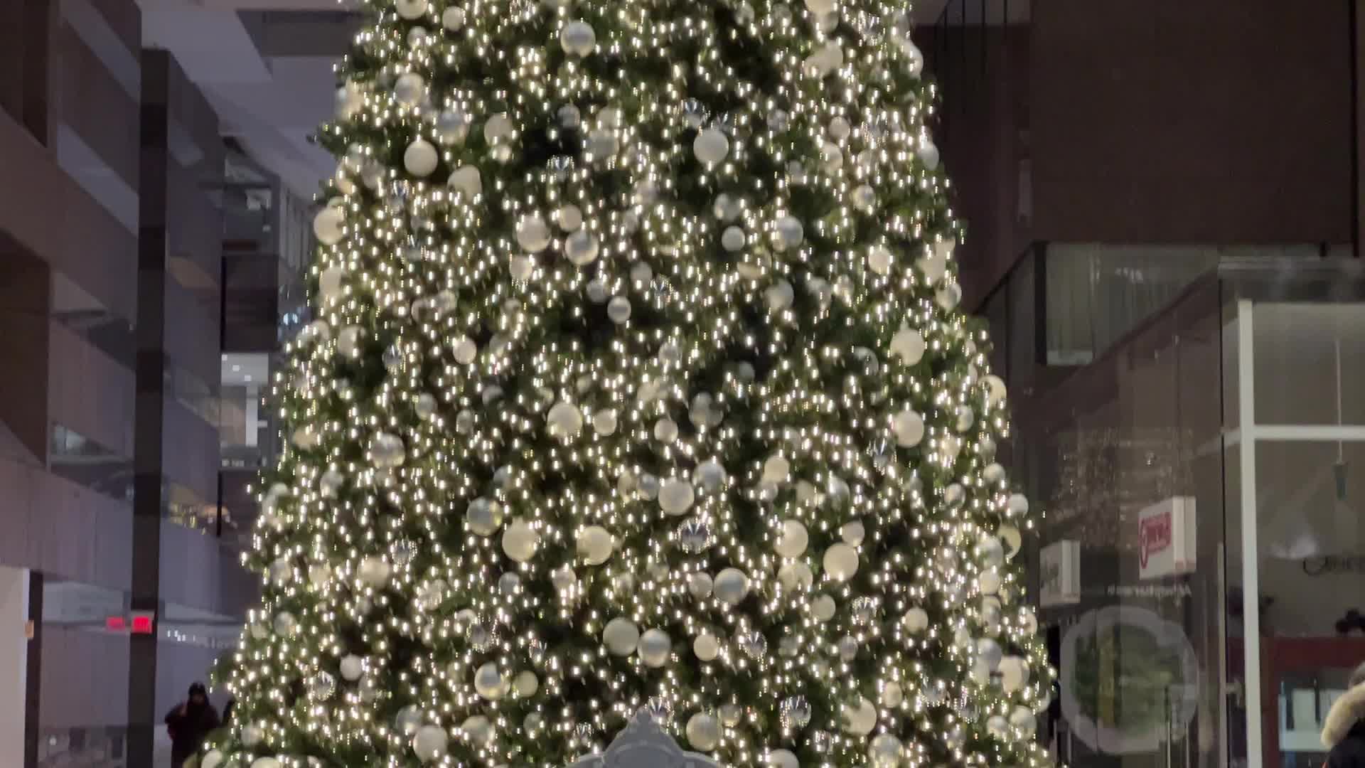 Christmas Season In Toronto, Canada