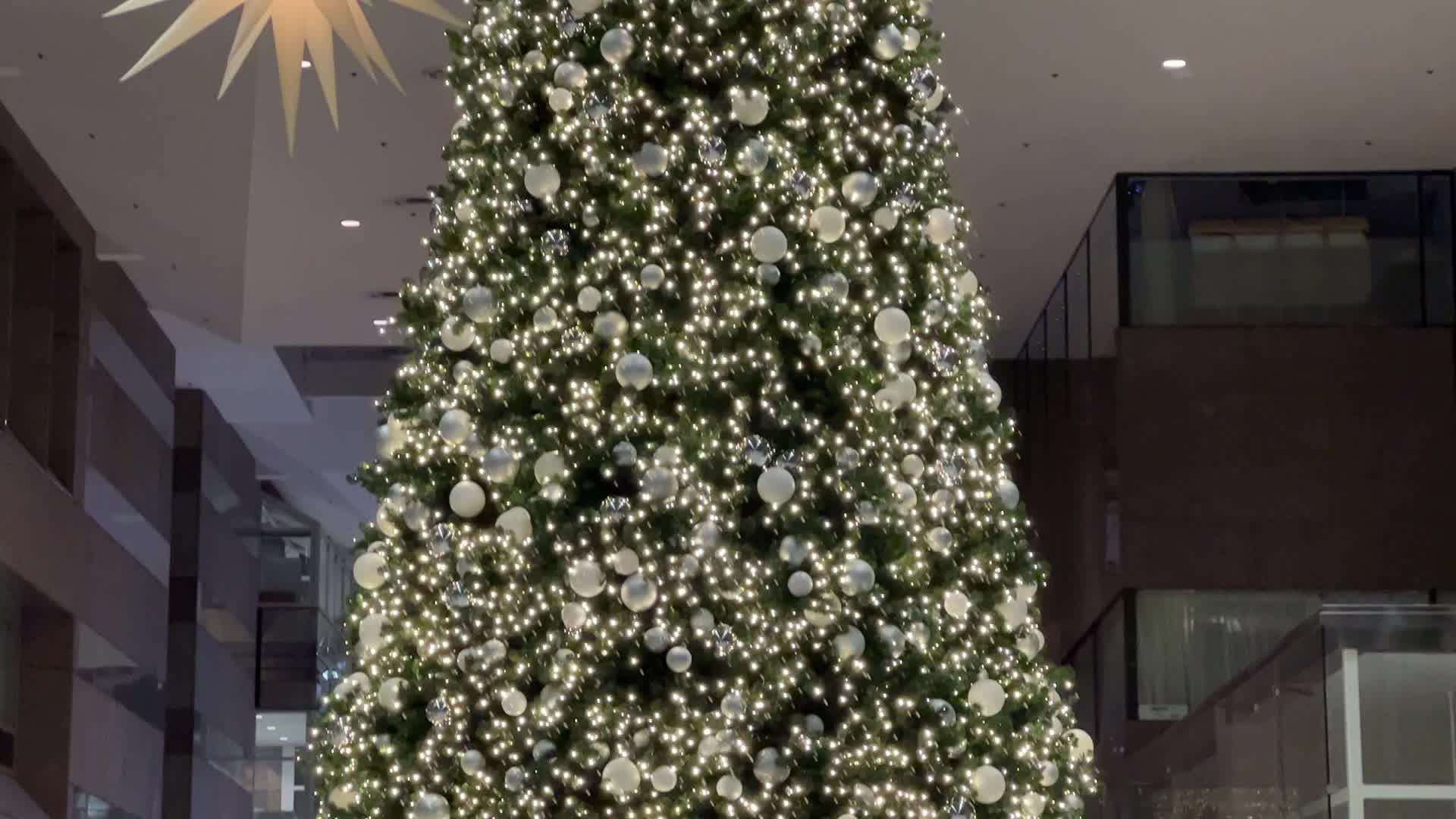 Christmas Season In Toronto, Canada