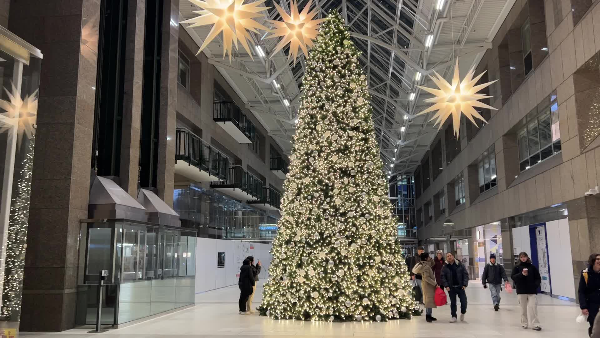 Christmas Season In Toronto, Canada