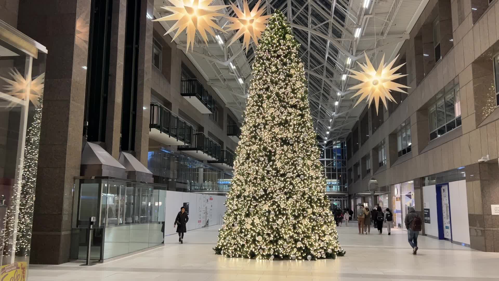 Christmas Season In Toronto, Canada