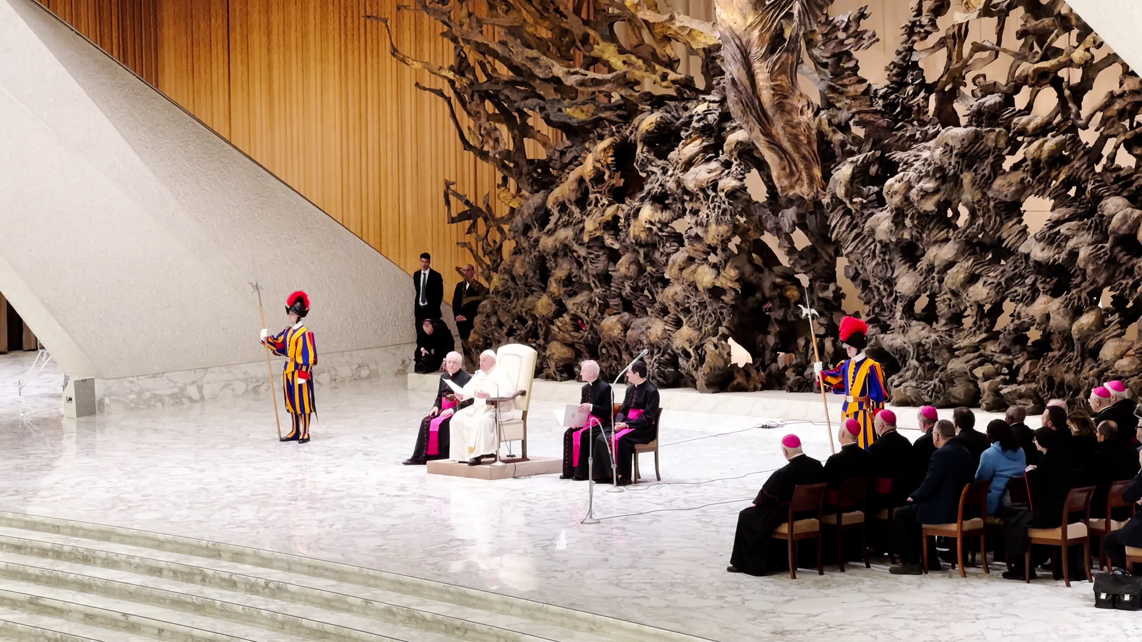 Pope Francis General Weekly Audience