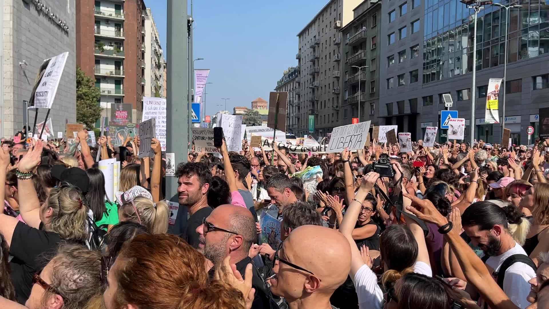 The protest of animal rights activists for the killing of pigs in the shelter Santuario Progetto Cuori Liberi of Sairano in Milan