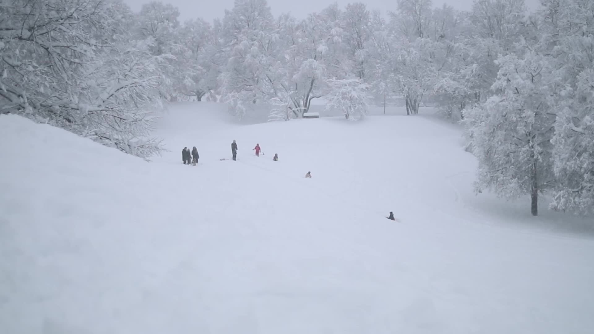 Germany: Knee high snow causes heavy disruption in Munich