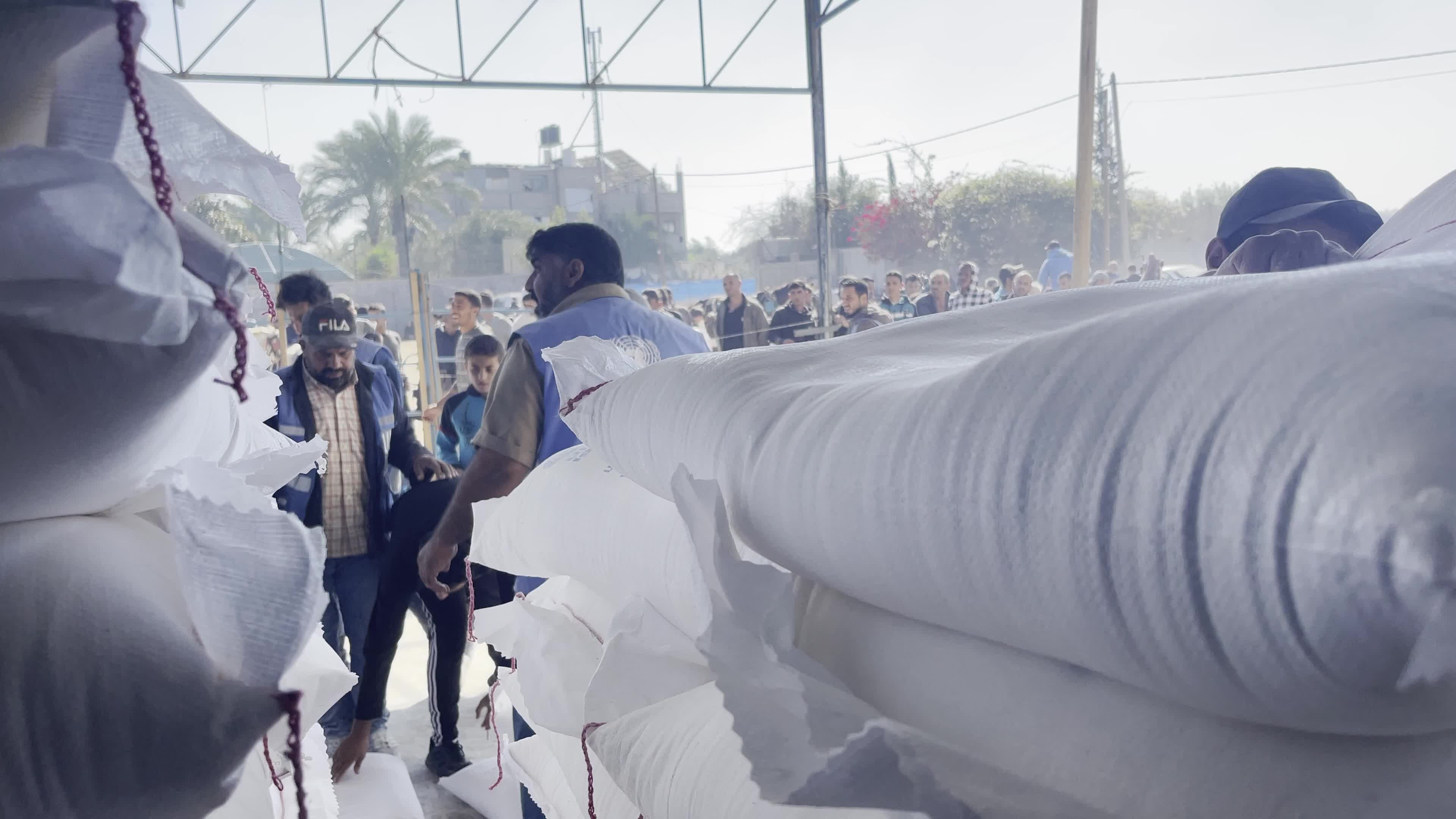 Humanitarian Aid Arrives in Gaza