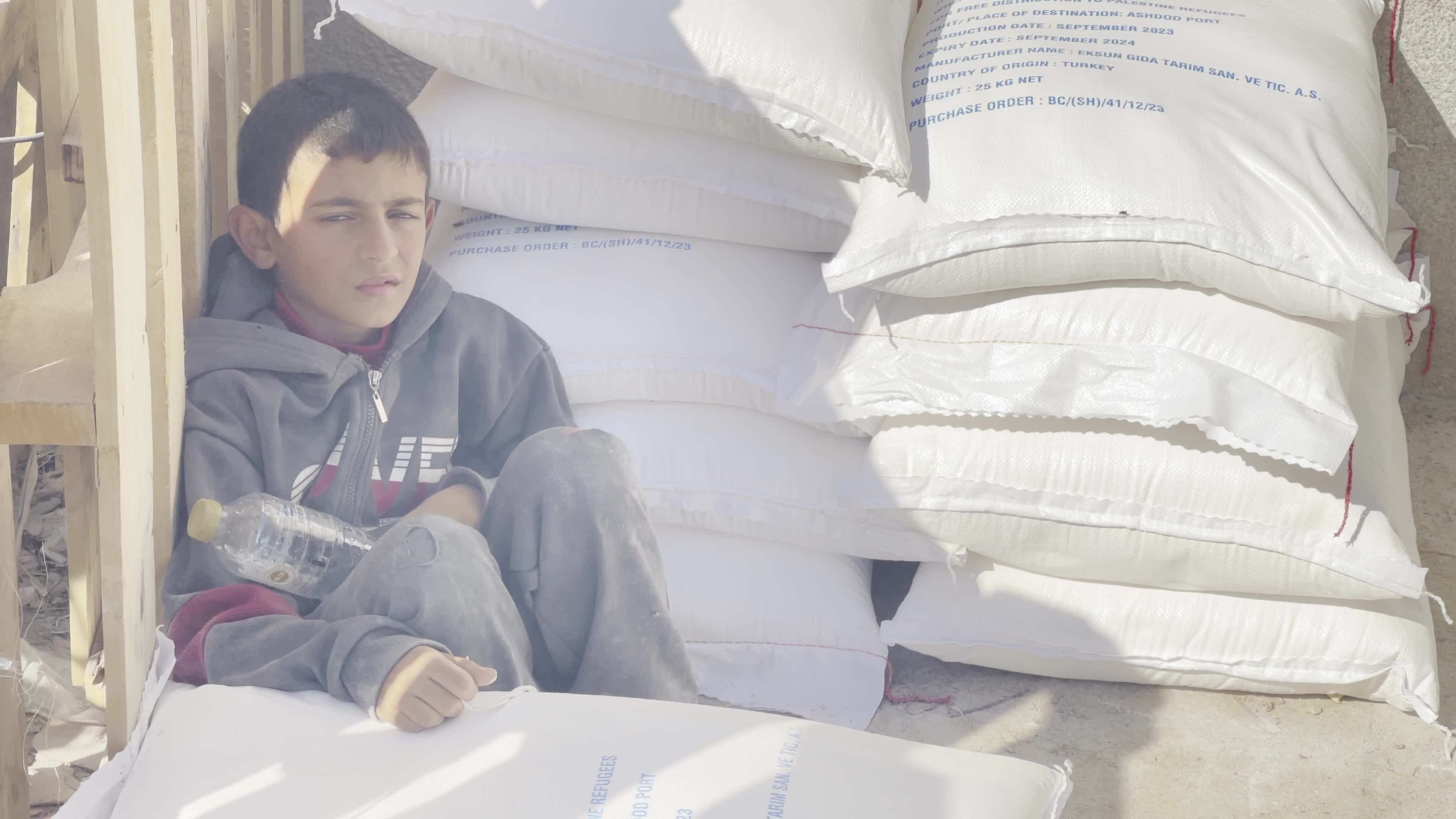 Humanitarian Aid Arrives in Gaza