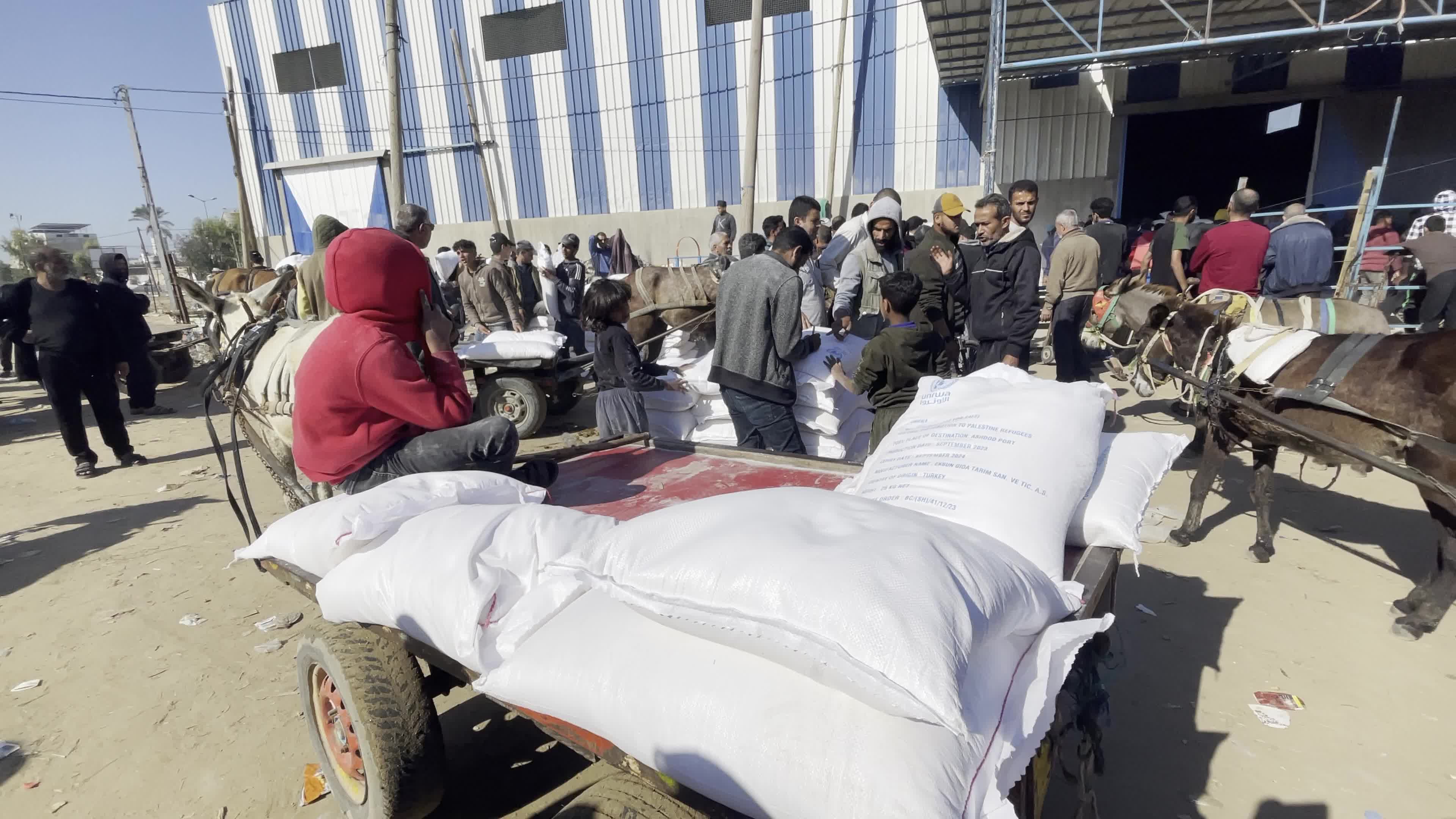 Humanitarian Aid Arrives in Gaza