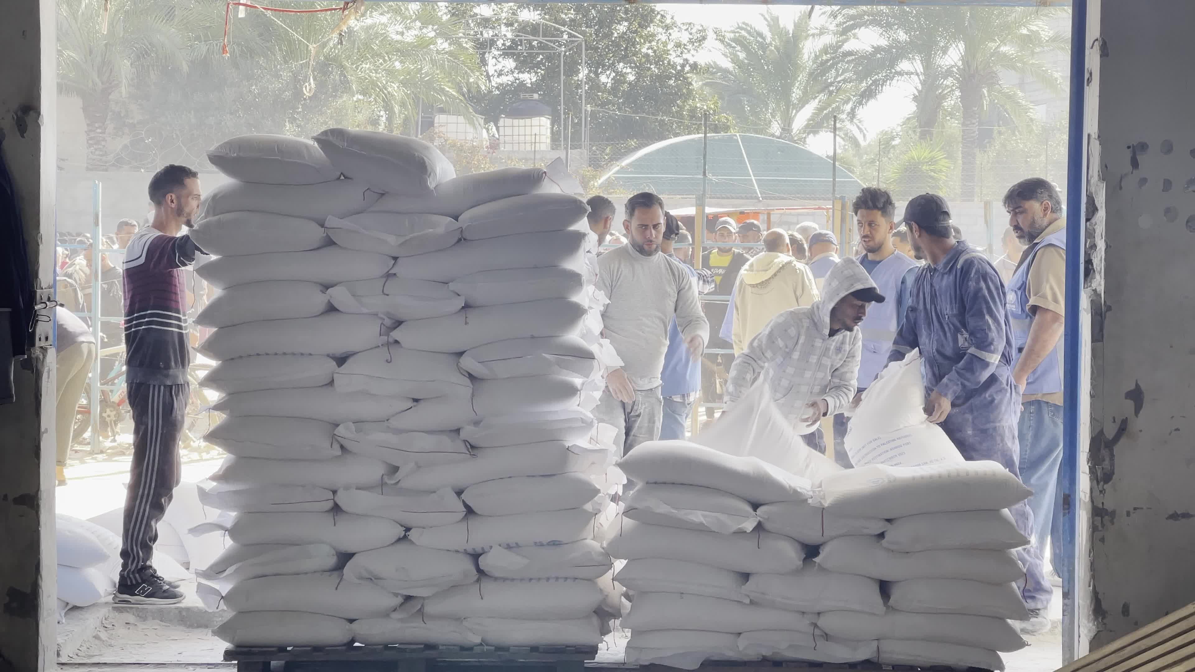 Humanitarian Aid Arrives in Gaza