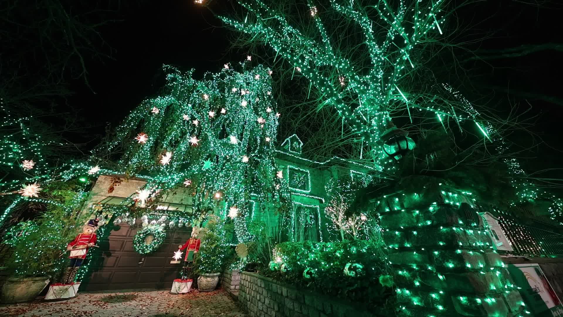 The Dyker Heights Christmas Lights 2023