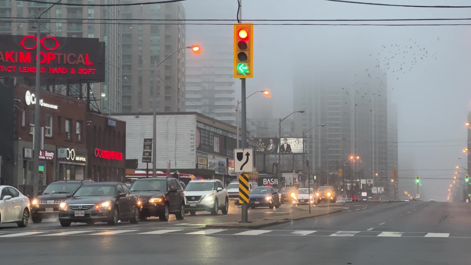 Damp and foggy day Toronto