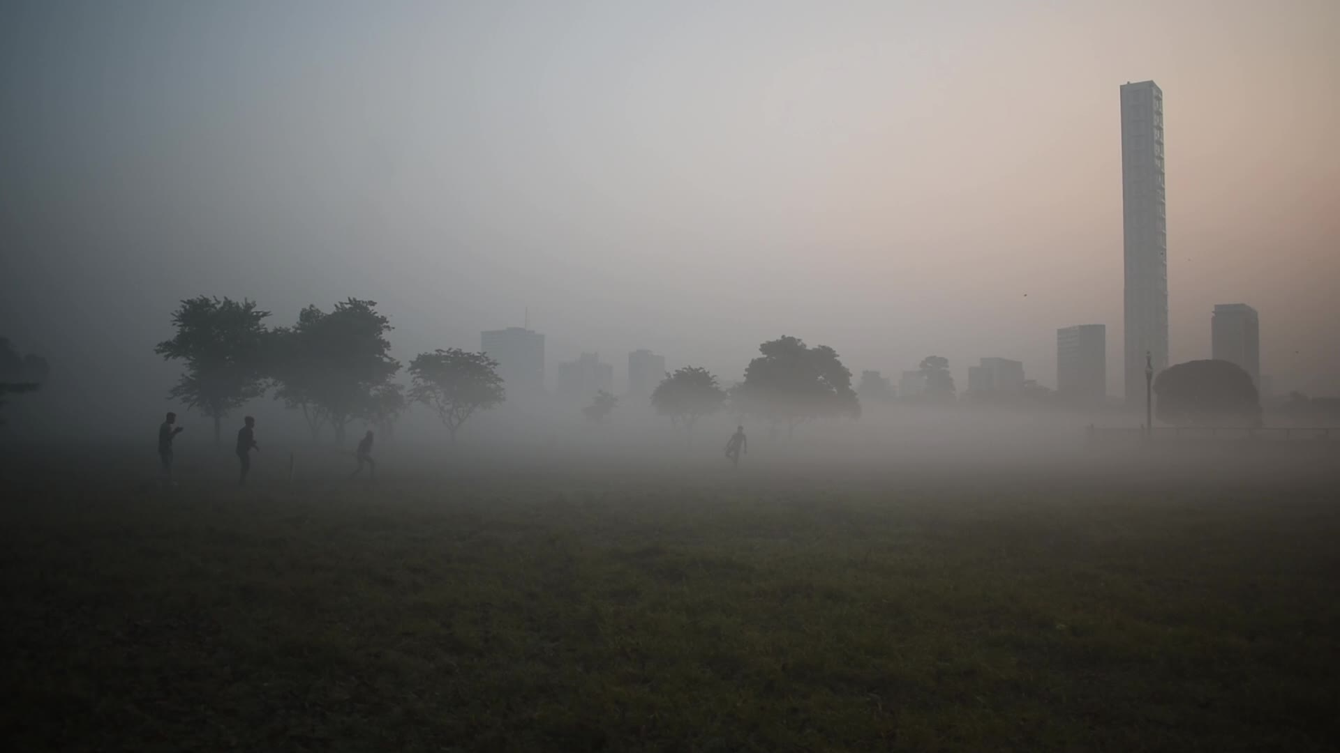 Winter In Kolkata, India