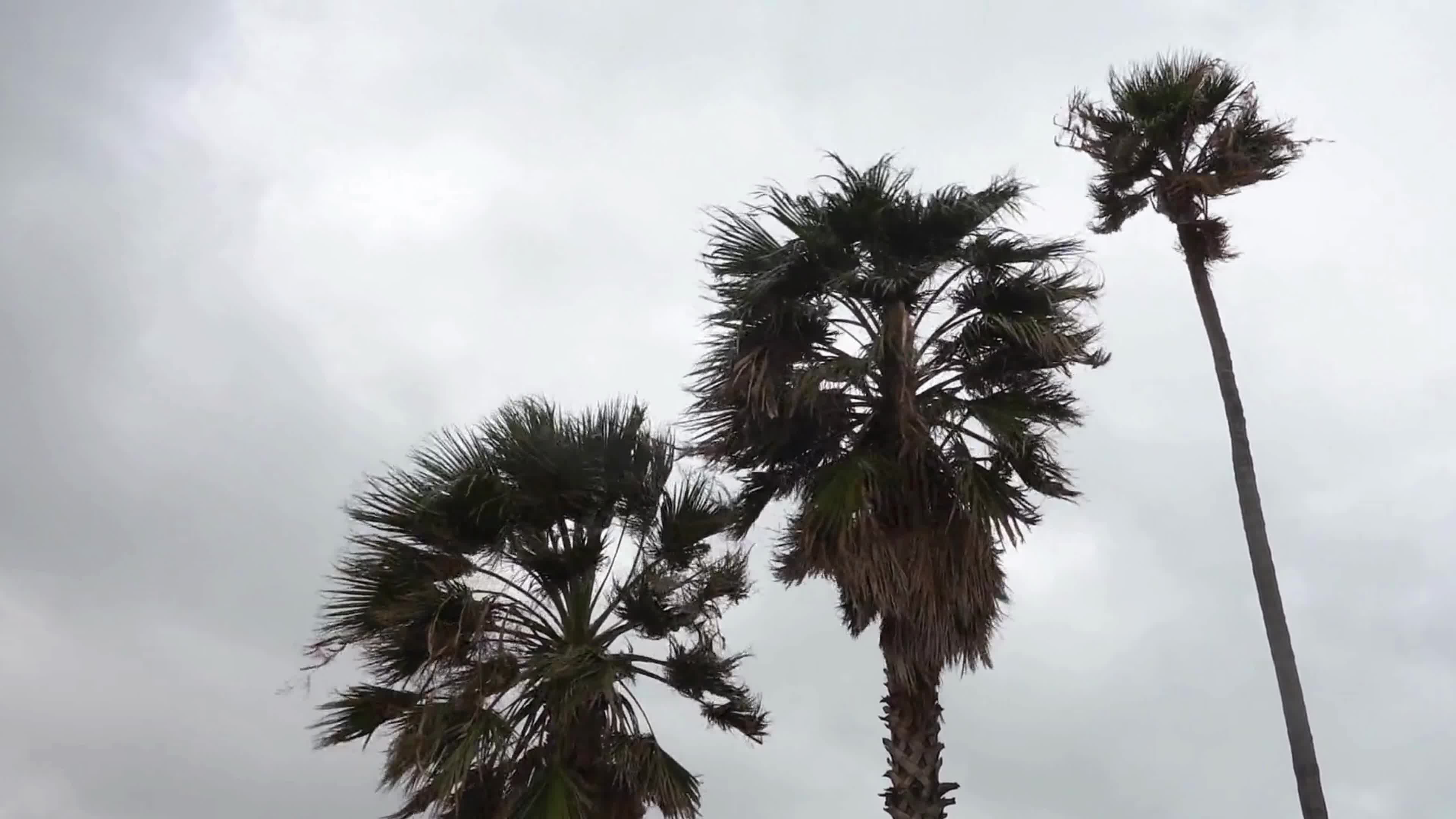 Strong Wind In Termoli, Italy