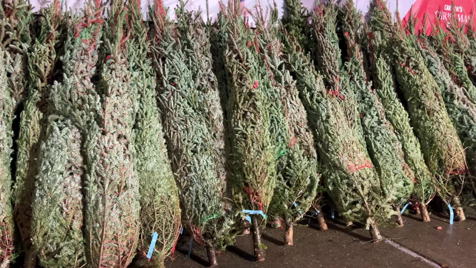 Christmas atmosphere in Toronto, Canada