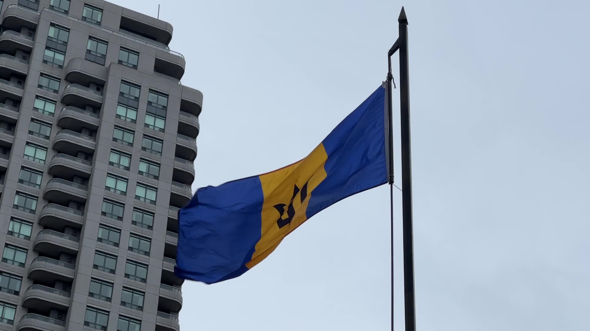 National flag of Ukraine