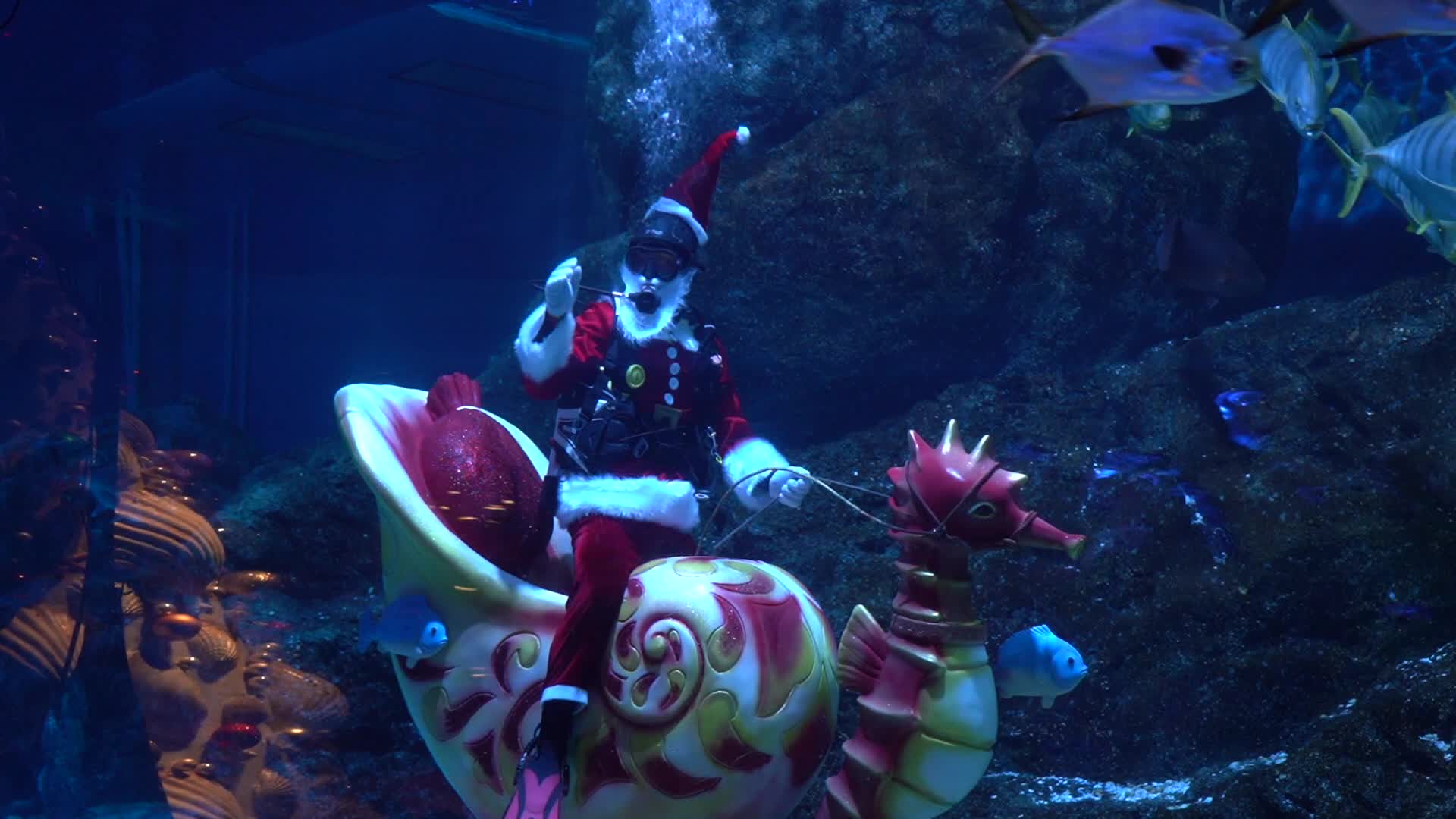Diver Dressed As Santa Claus Feeds Fish to Celebrate Christmas, in Bangkok.