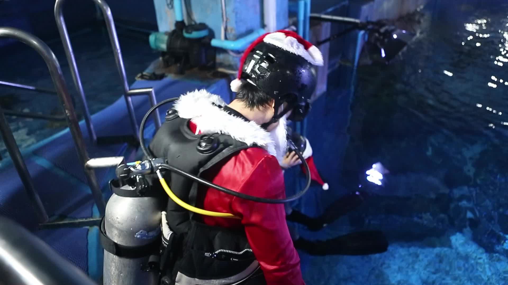 Diver Dressed As Santa Claus Feeds Fish to Celebrate Christmas, in Bangkok