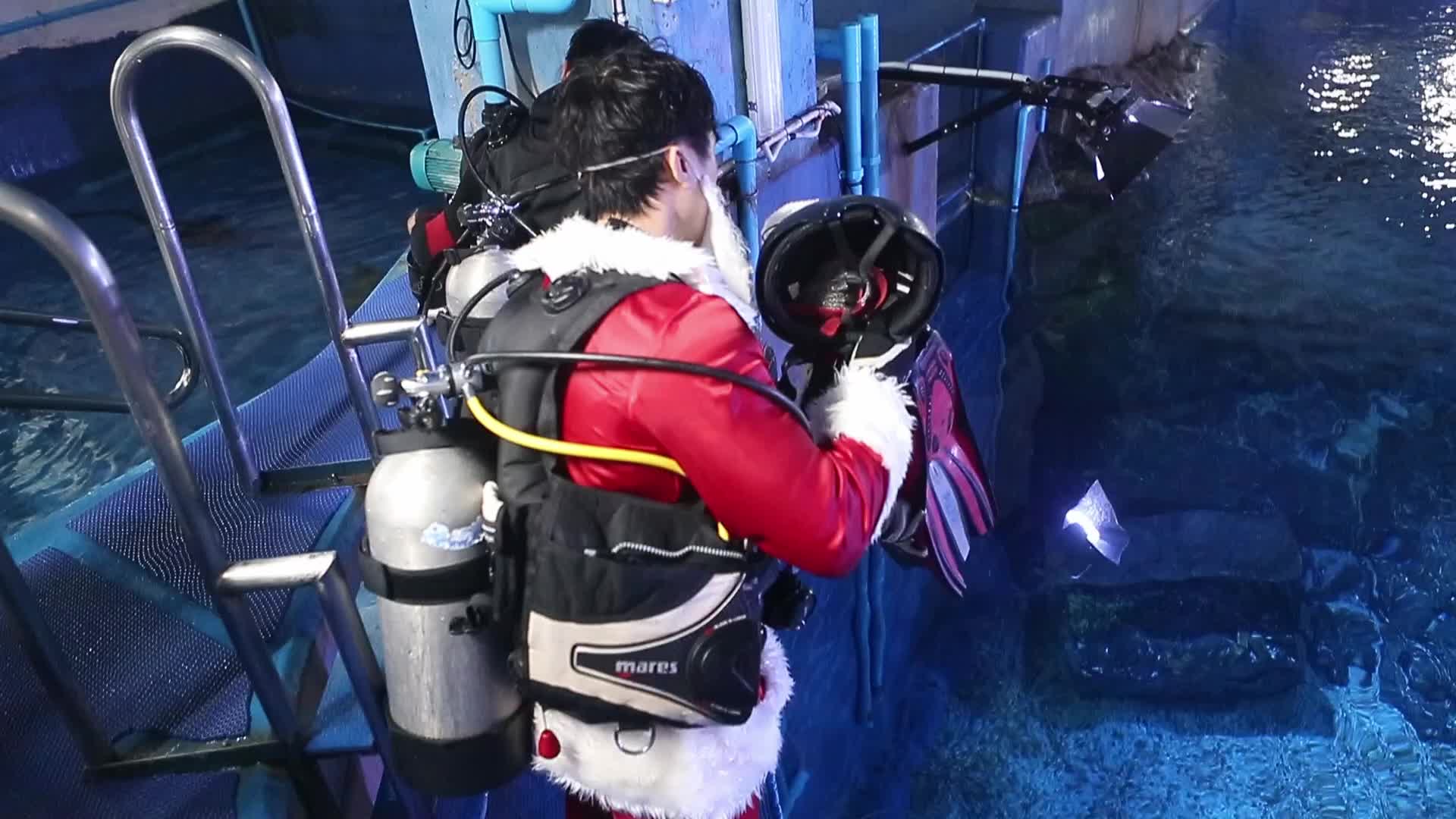 Diver Dressed As Santa Claus Feeds Fish to Celebrate Christmas, in Bangkok