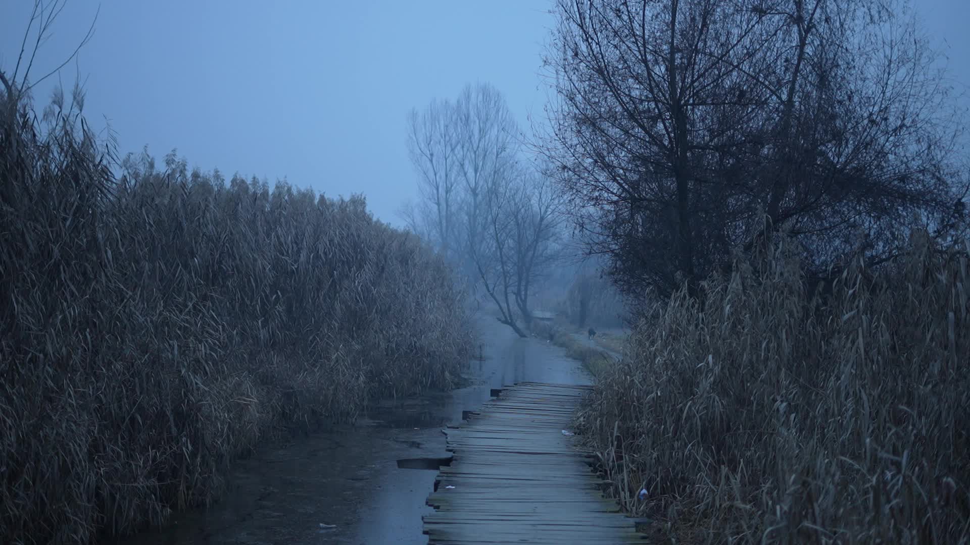 Daily Life in Kashmir 