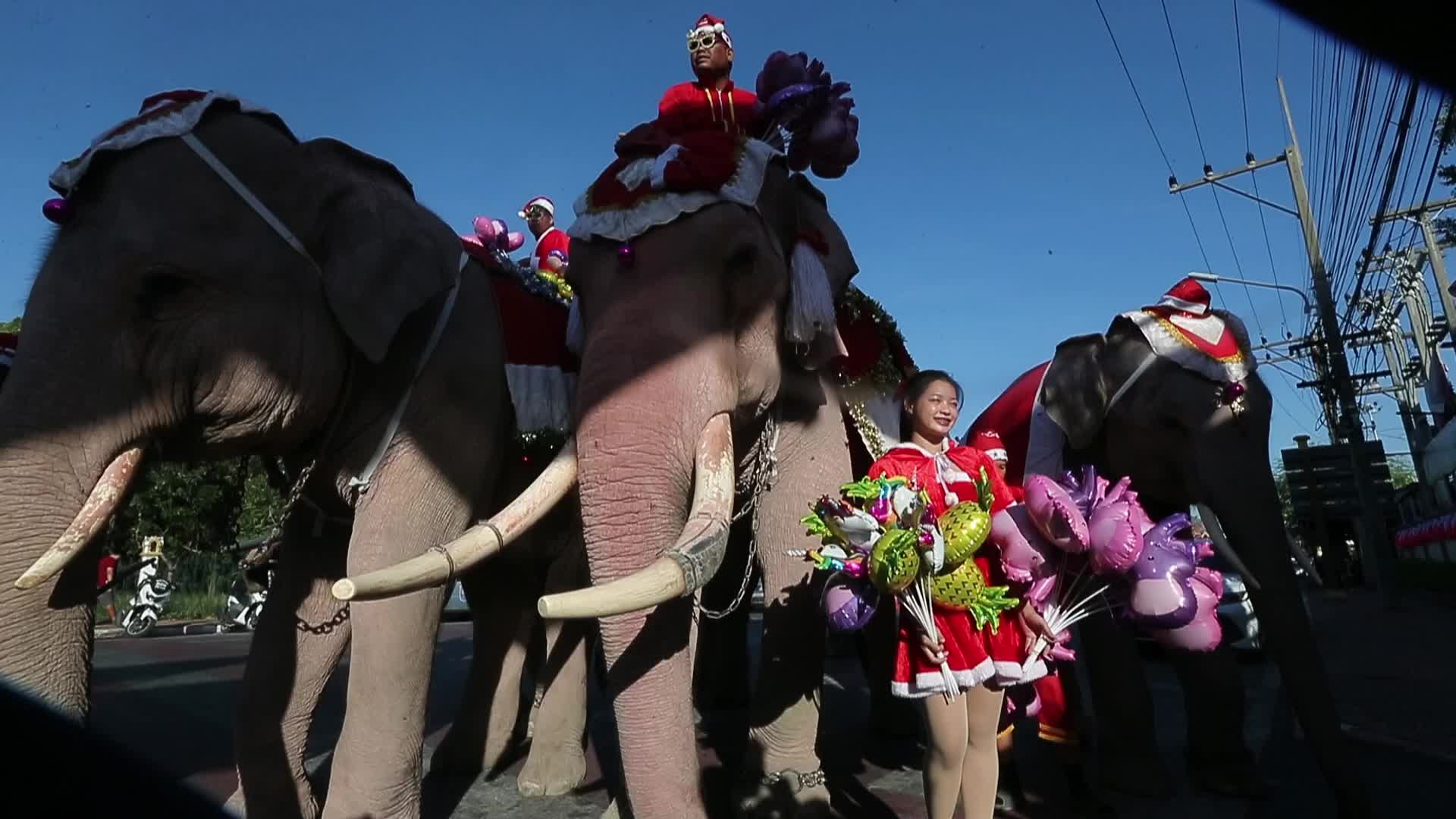 Elephant Santa Delights Students with Gifts at Jirasart School Holiday Celebration