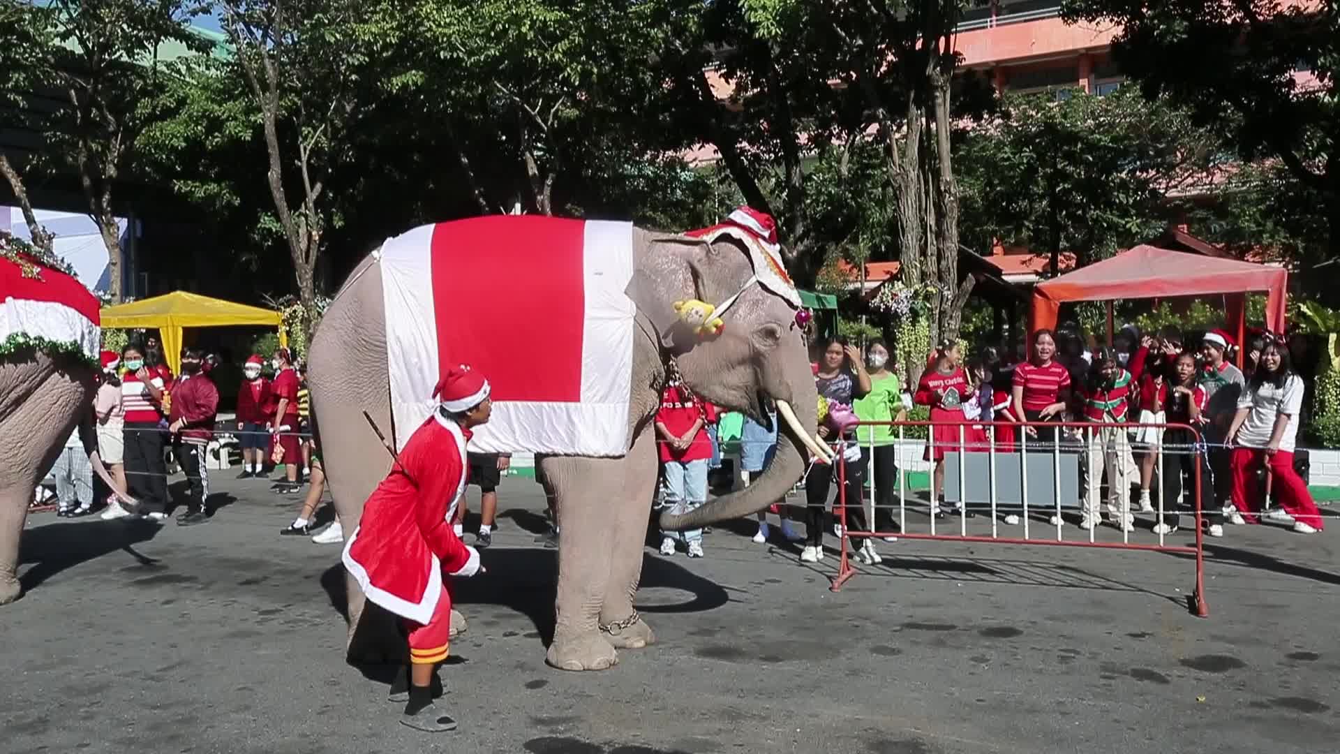 Elephant Santa Delights Students with Gifts at Jirasart School Holiday Celebration