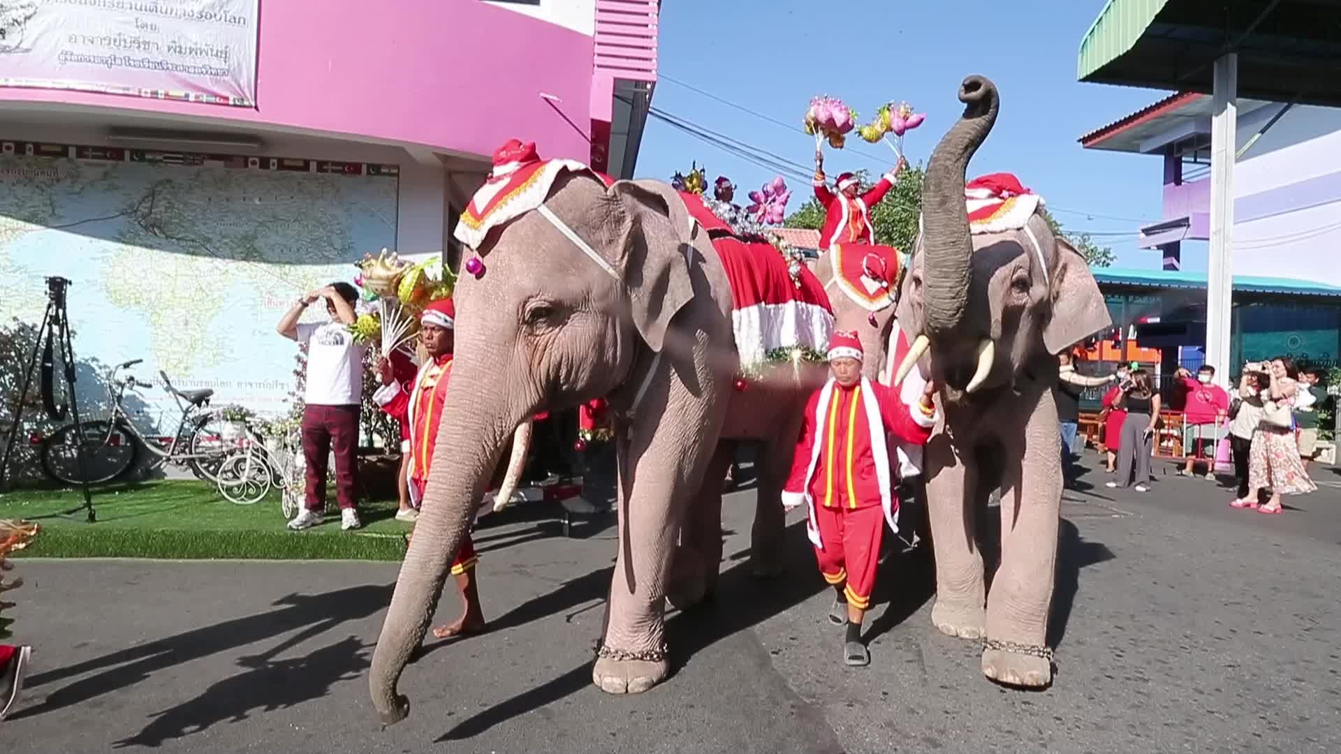 Elephant Santa Delights Students with Gifts at Jirasart School Holiday Celebration