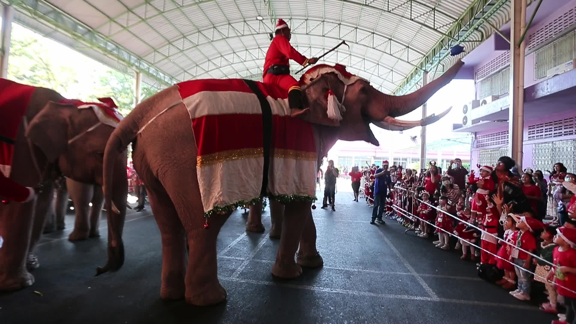 Elephant Santa Delights Students with Gifts at Jirasart School Holiday Celebration