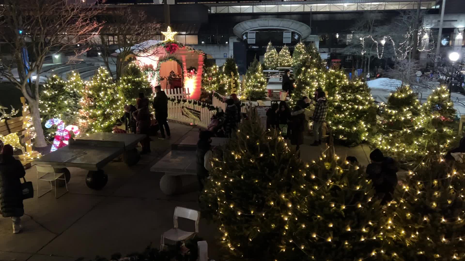 Christmas Season in Toronto, Canada
