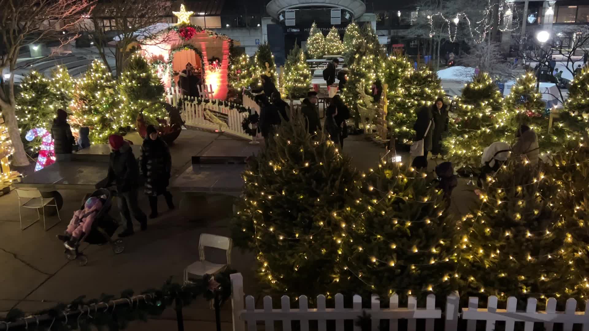 Christmas Season in Toronto, Canada
