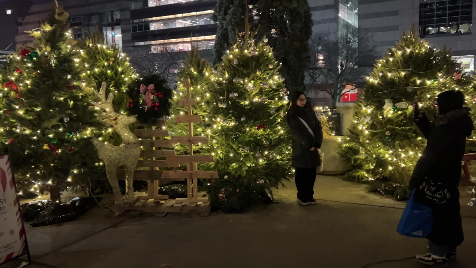 Christmas Season in Toronto, Canada