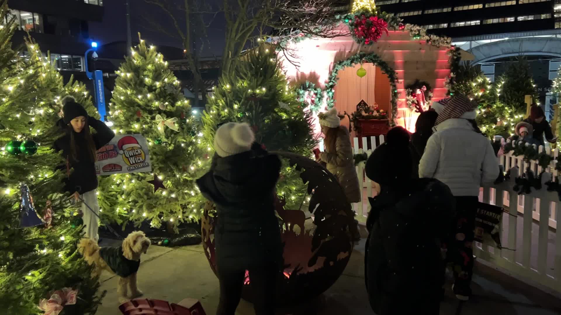 Christmas Season in Toronto, Canada