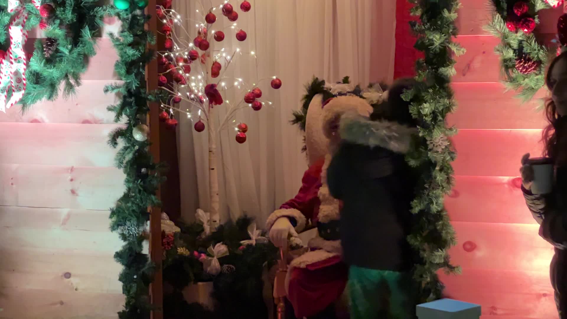 Christmas Season in Toronto, Canada
