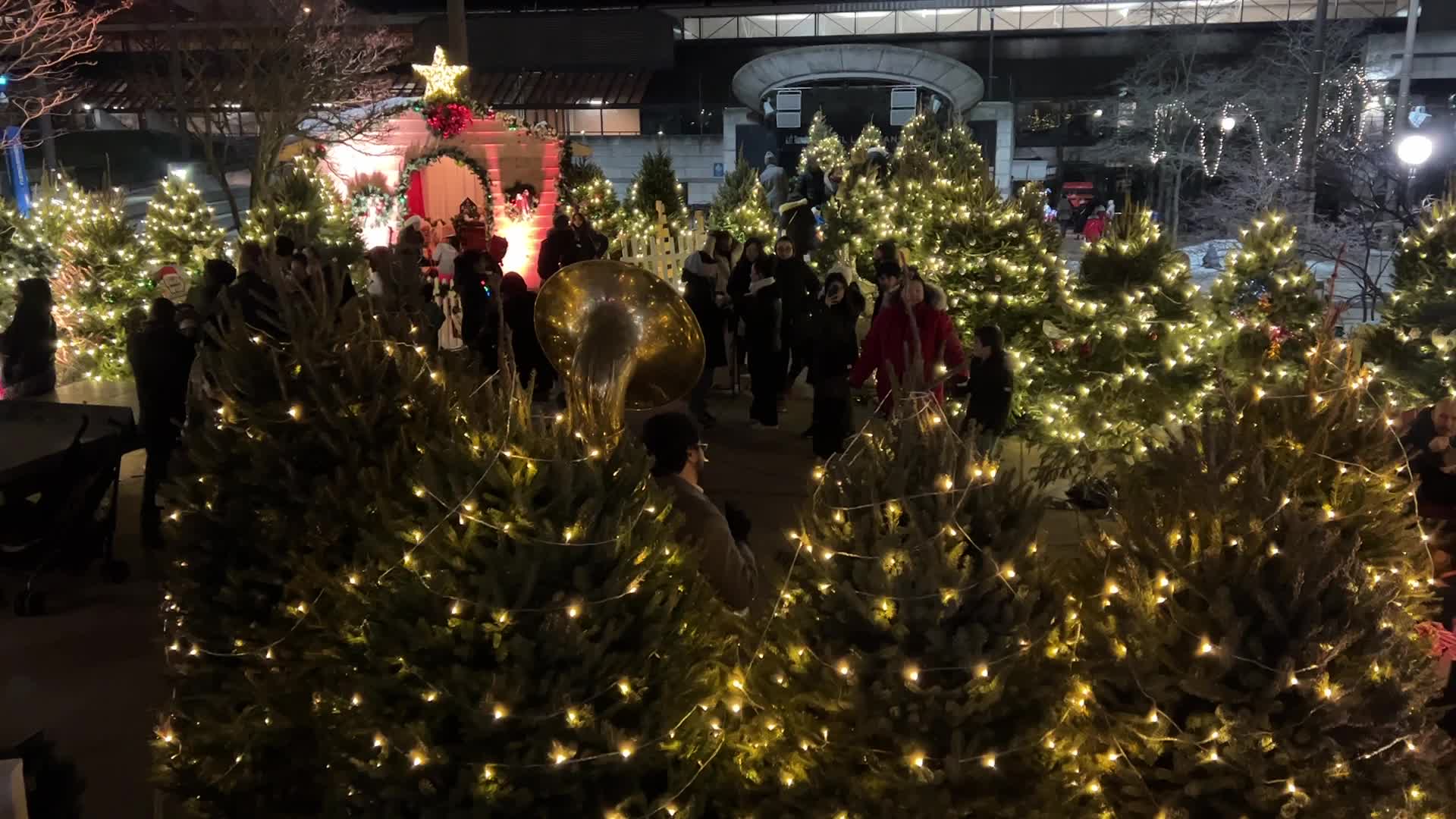 Christmas Season in Toronto, Canada