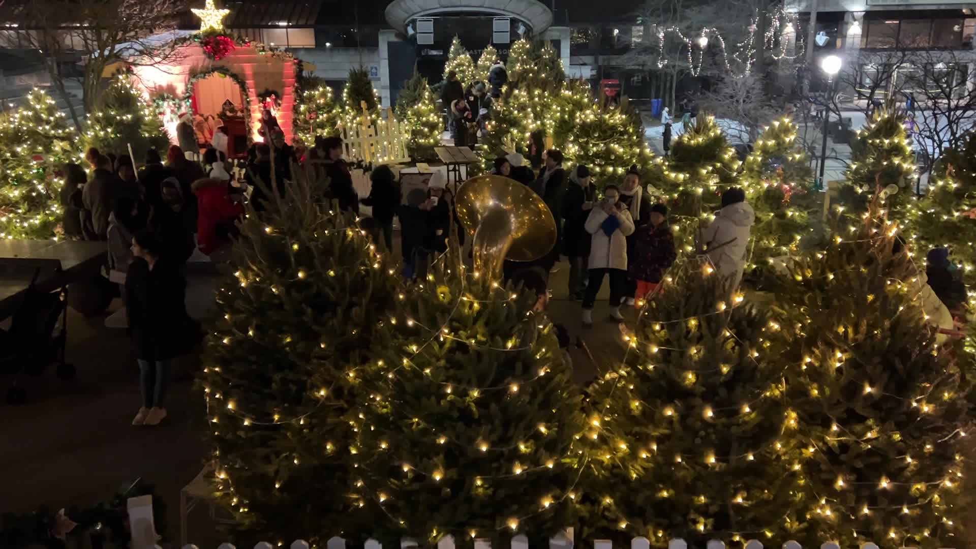 Christmas Season in Toronto, Canada
