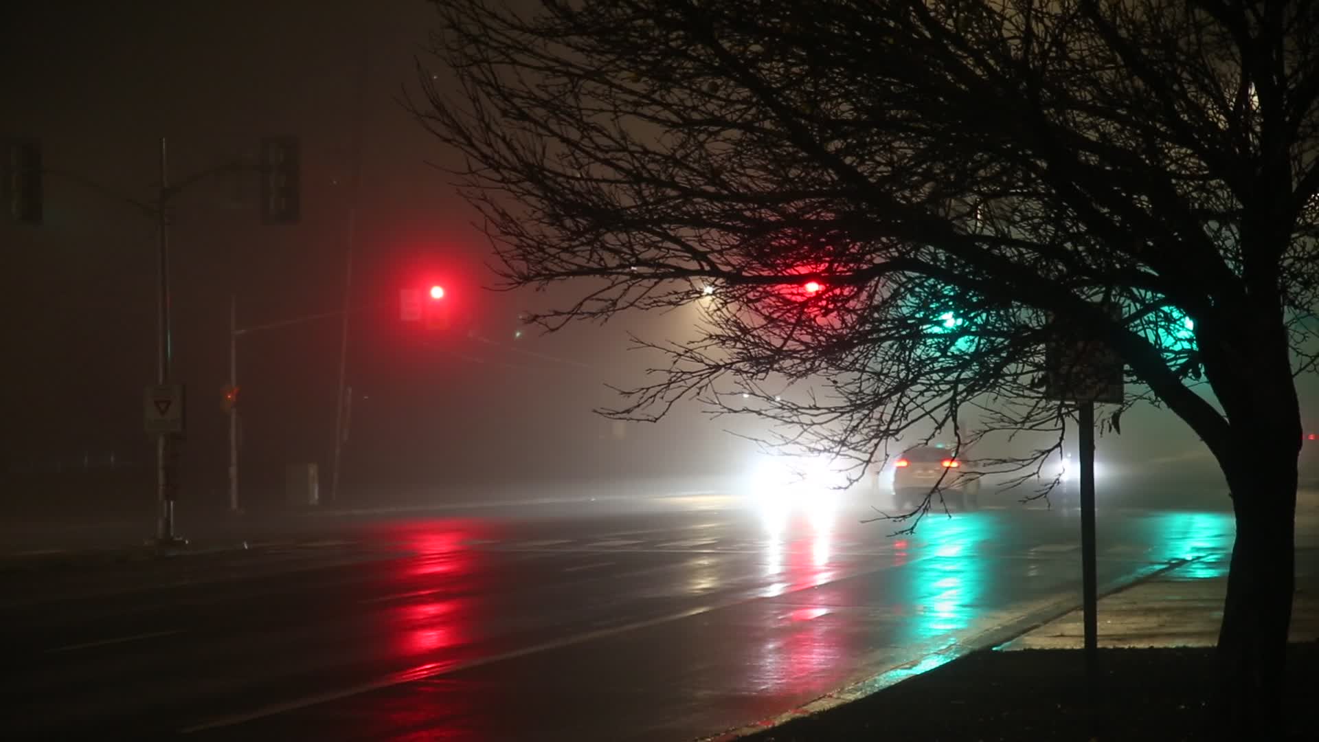 Thick fog in Toronto, Canada