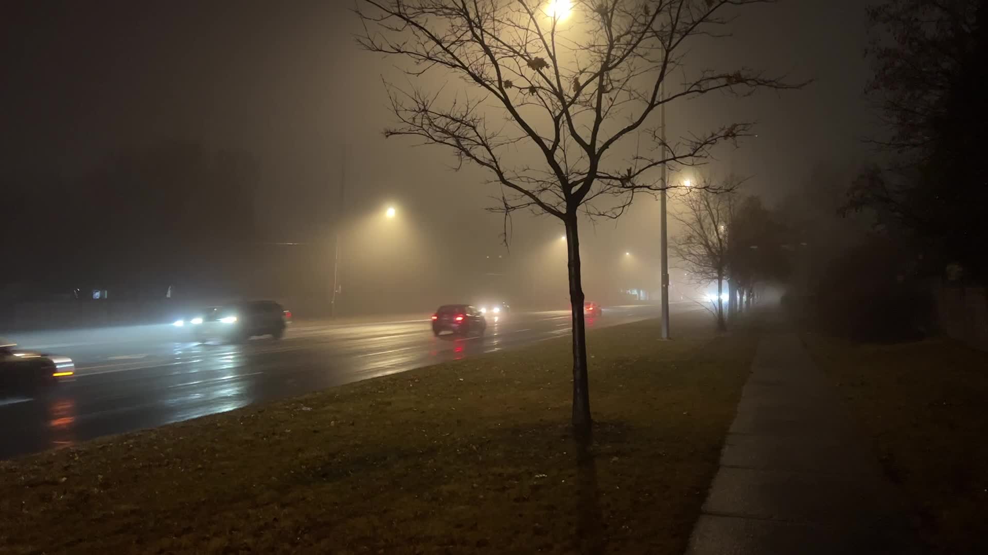 Thick fog in Toronto, Canada