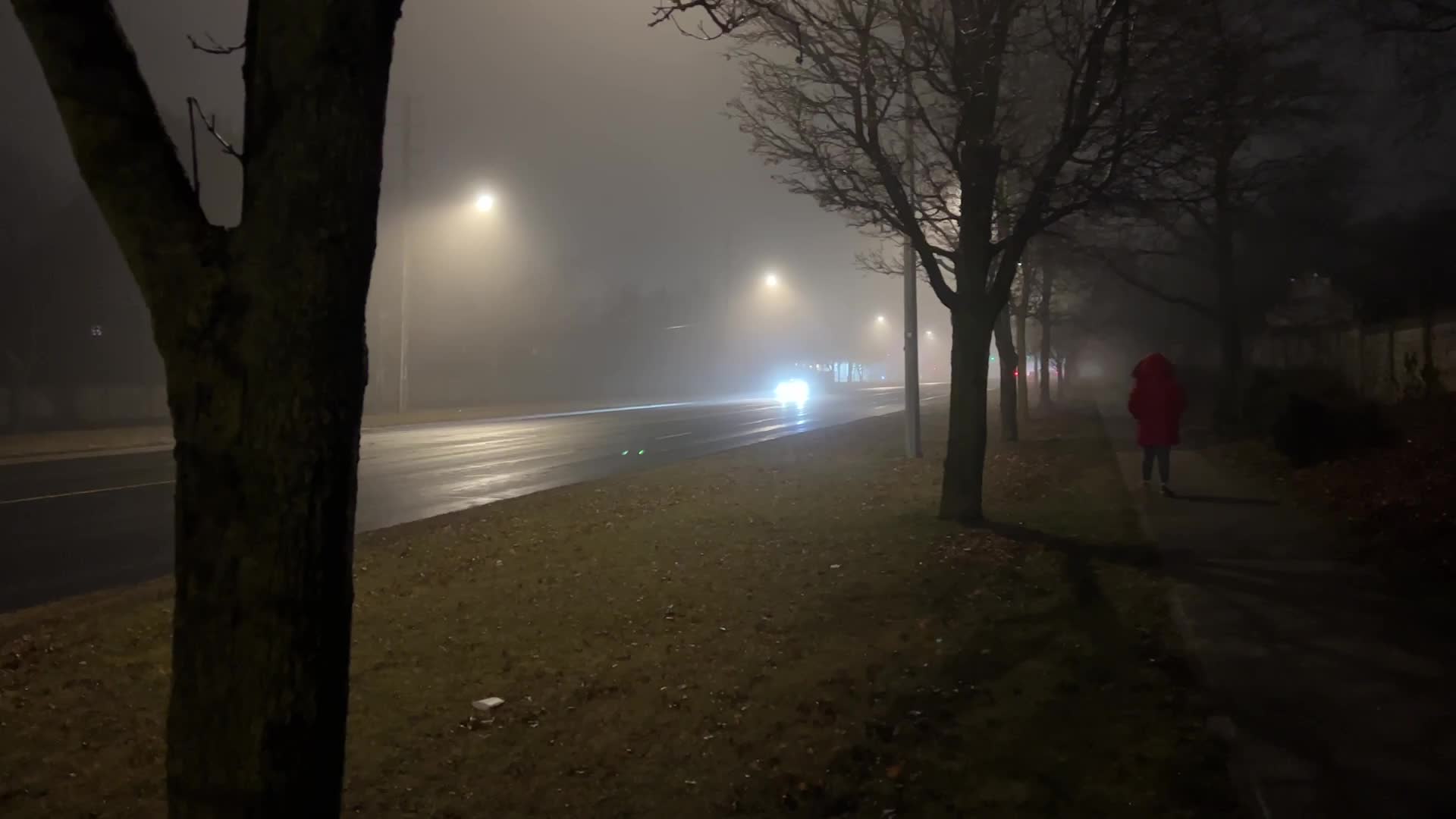 Thick fog in Toronto, Canada