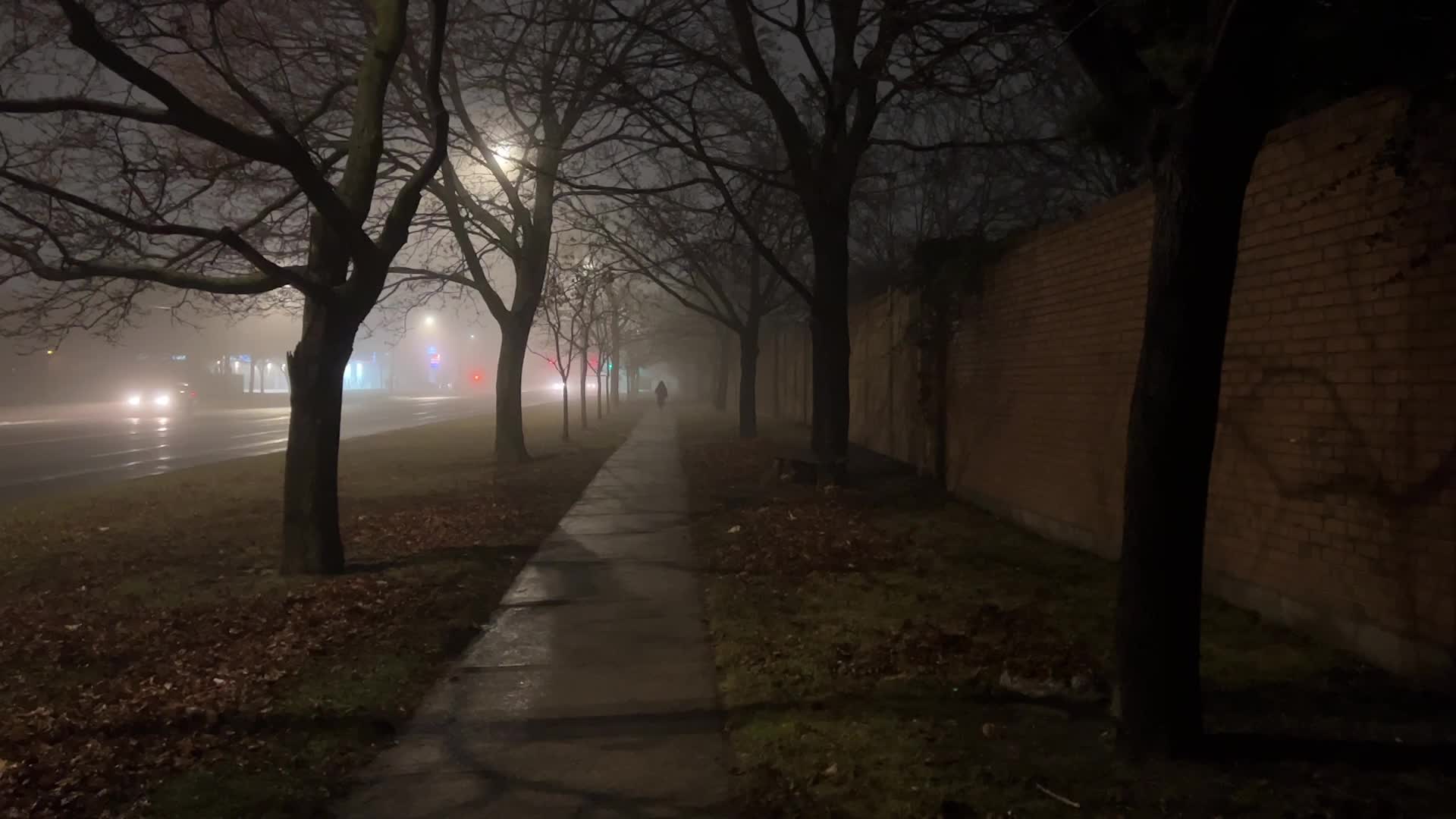 Thick fog in Toronto, Canada
