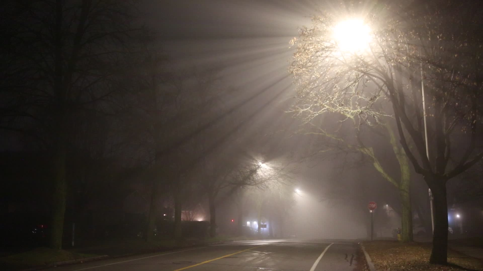 Fog Advisory Issued For Toronto
