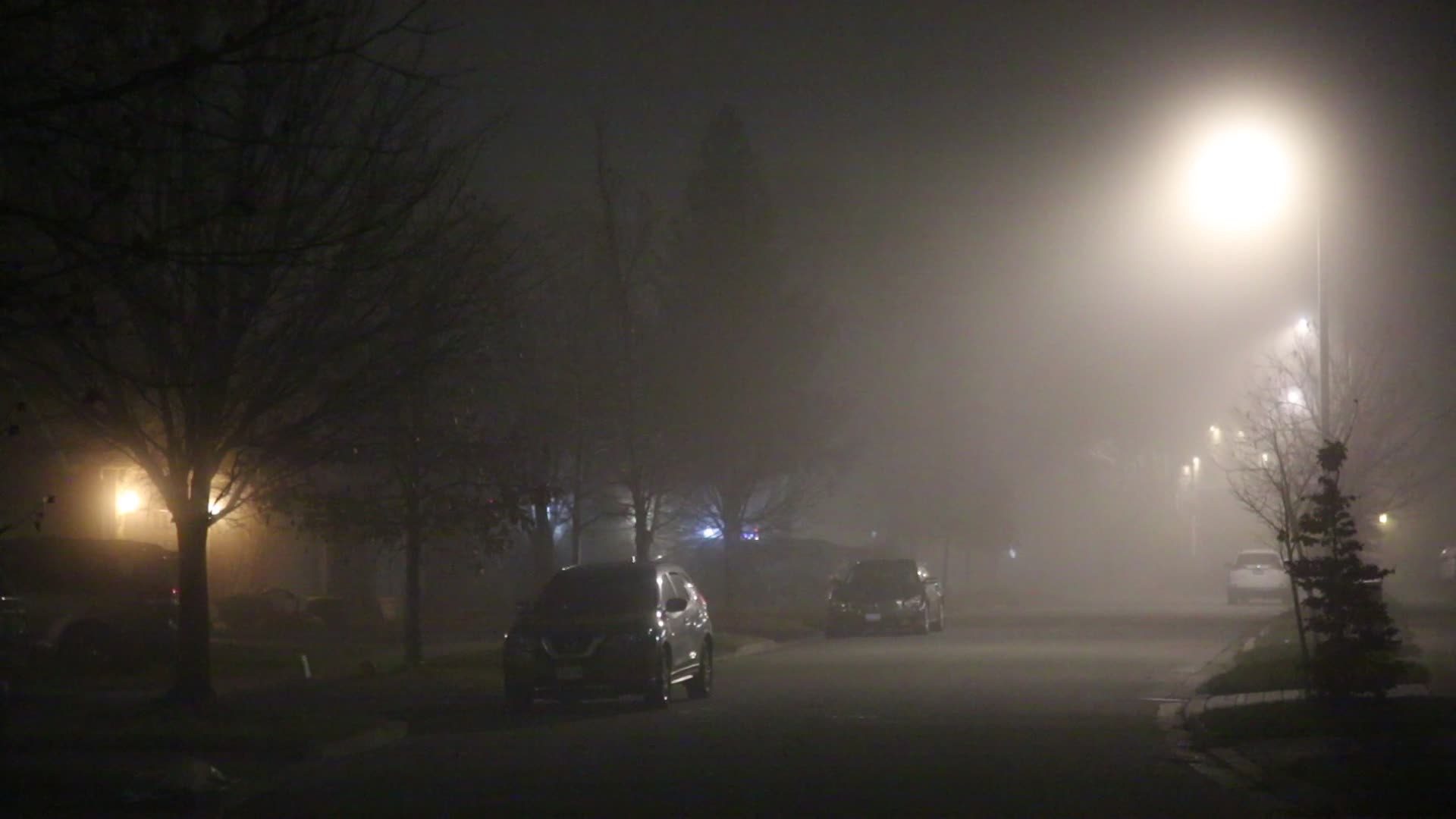Fog Advisory Issued For Toronto