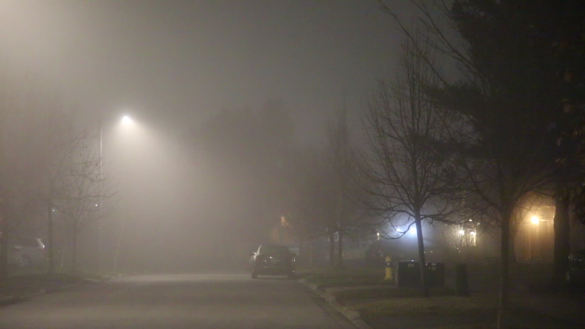 Fog Advisory Issued For Toronto