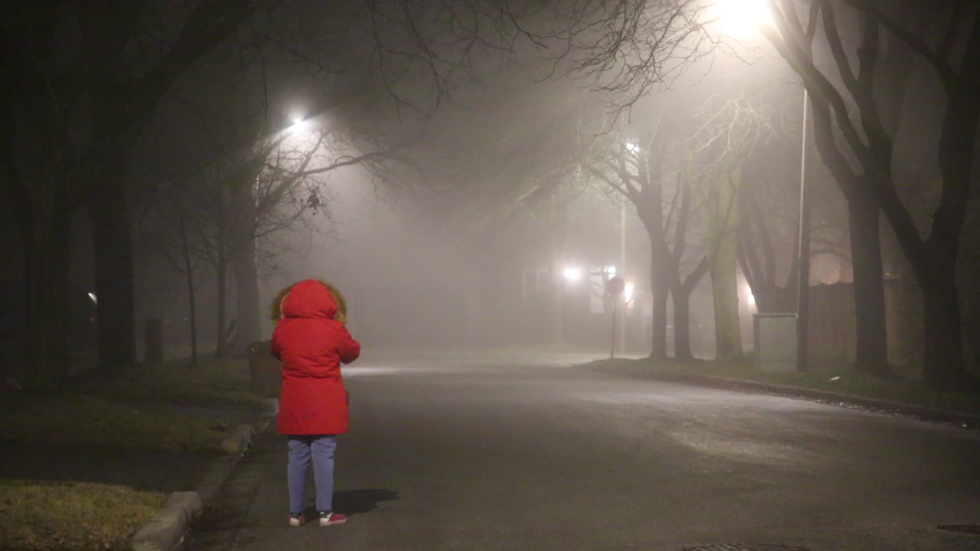 Fog Advisory Issued For Toronto