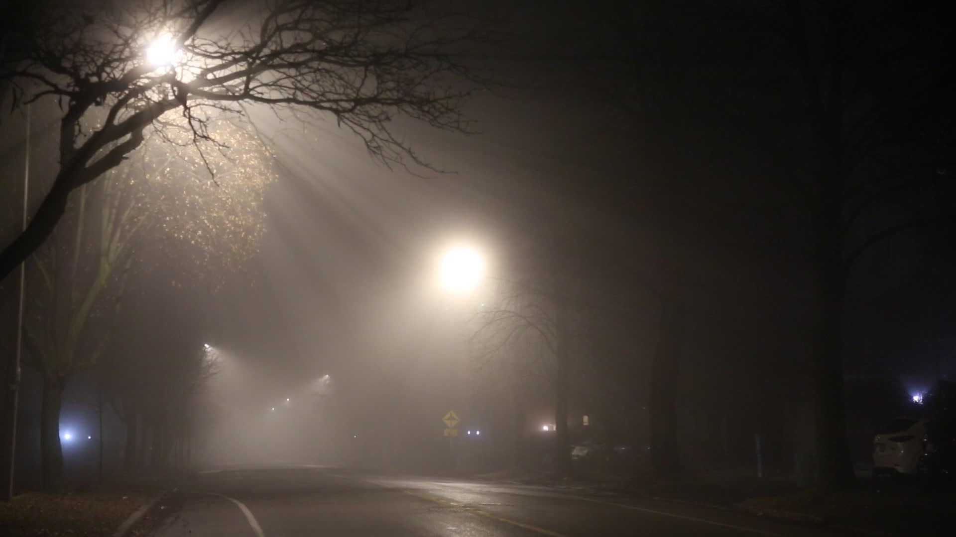 Fog Advisory Issued For Toronto