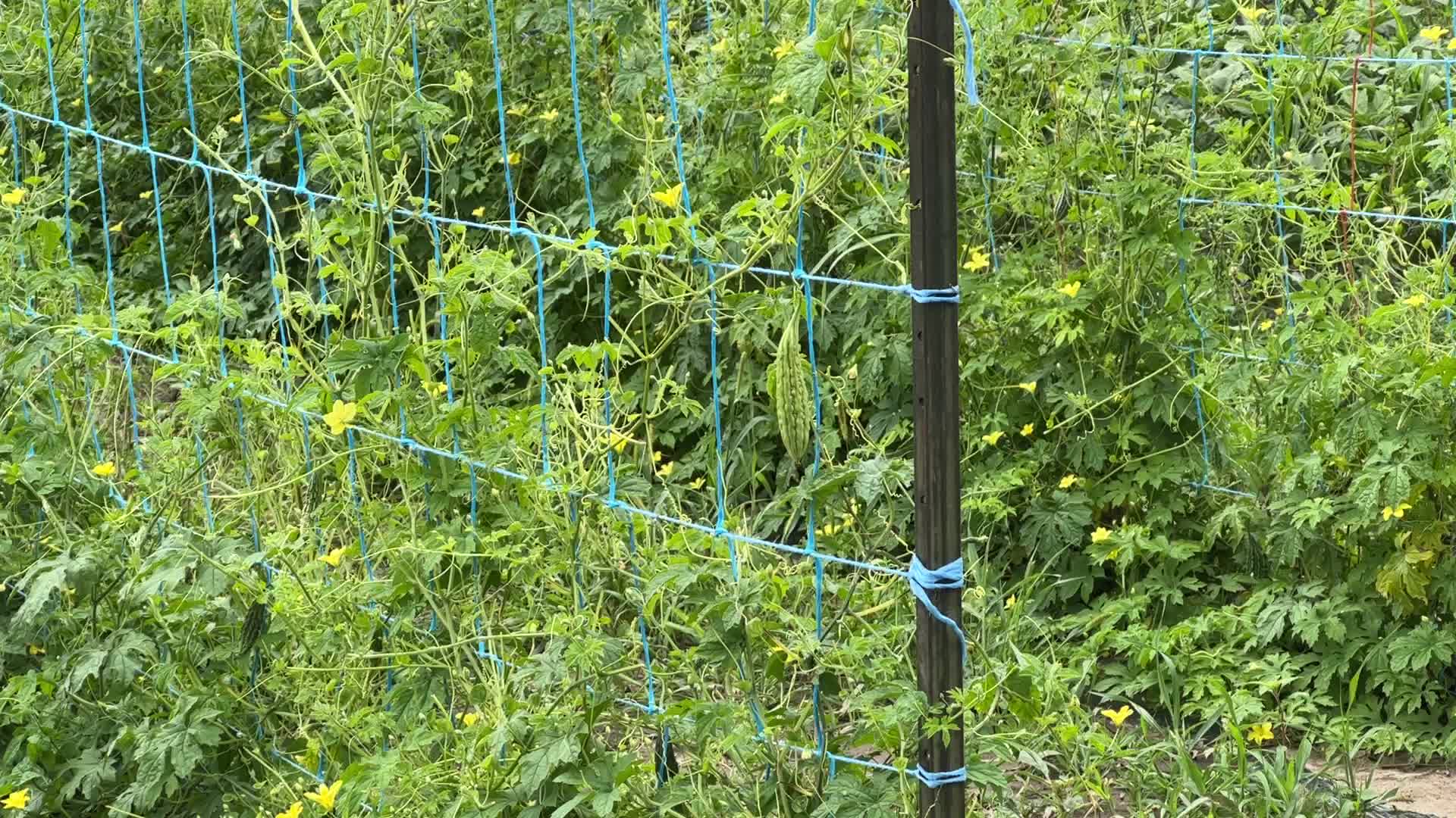 Agriculture in Canada