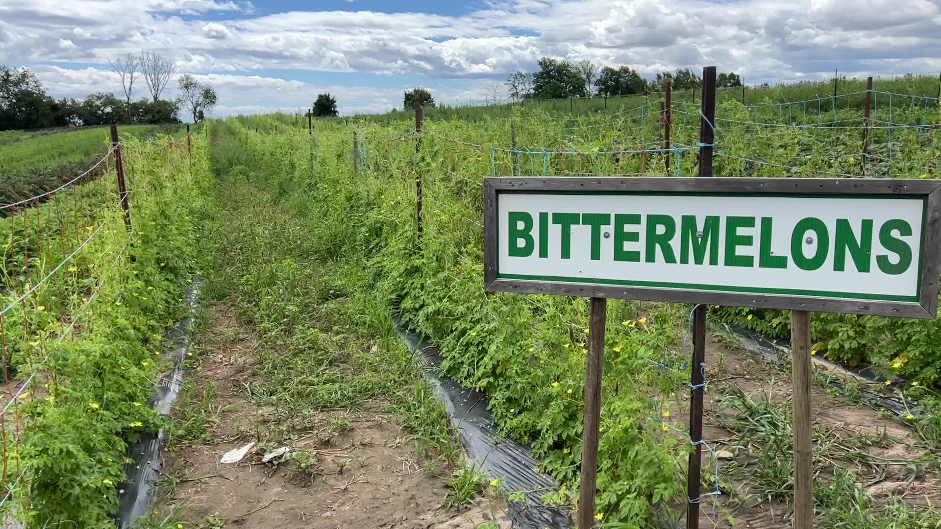 Agriculture in Canada