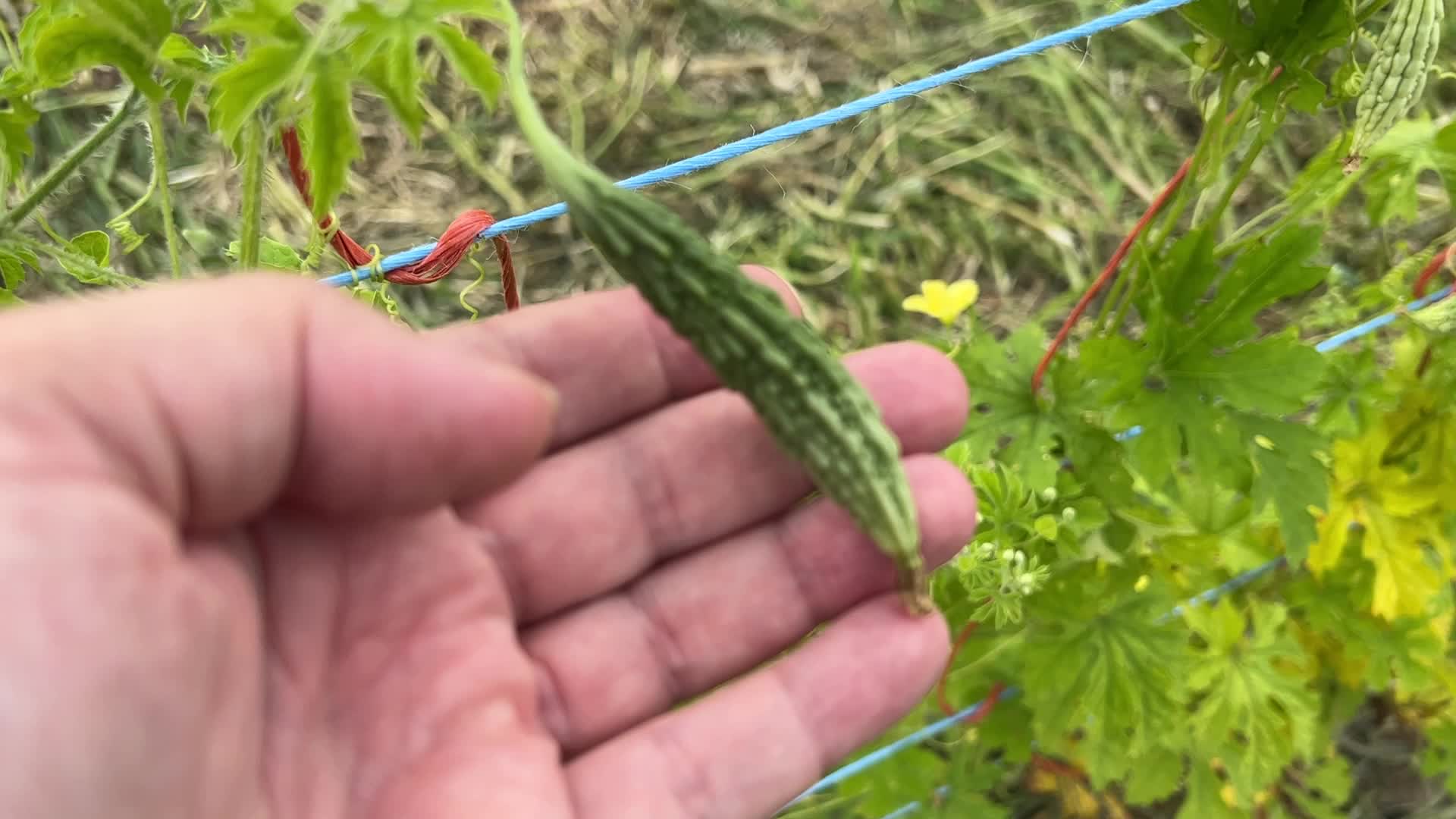 Agriculture in Canada