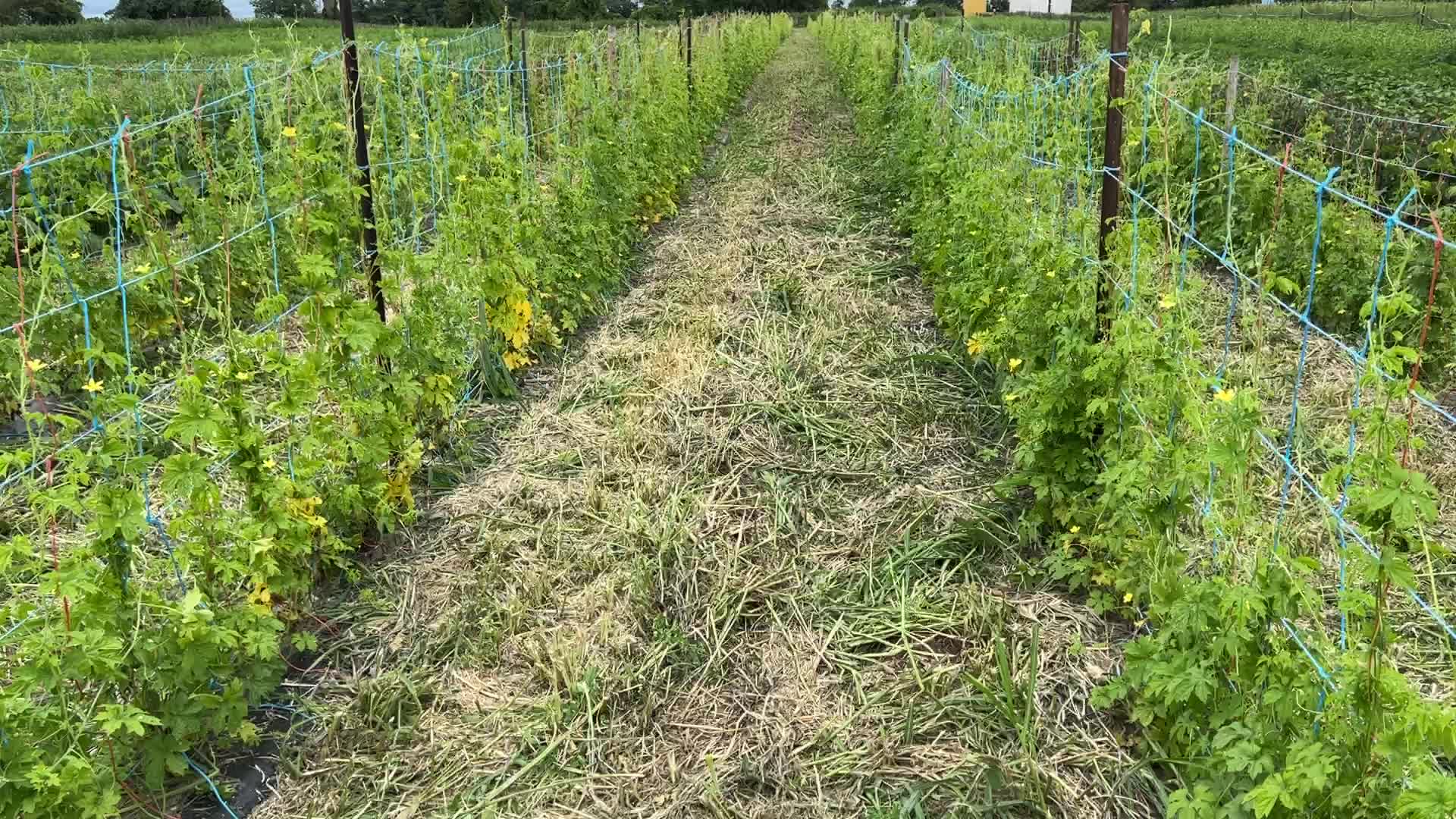 Agriculture in Canada