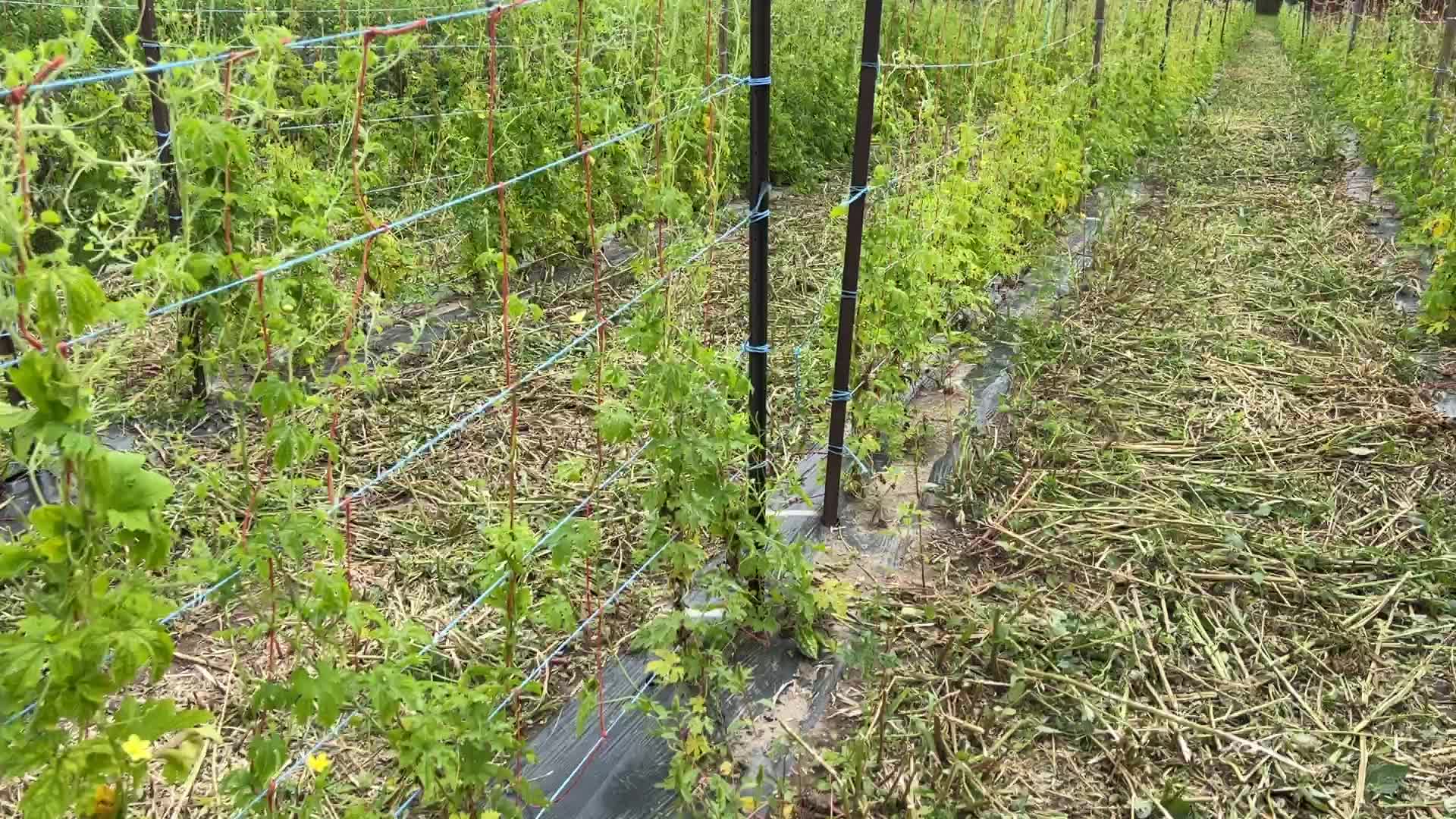 Agriculture in Canada